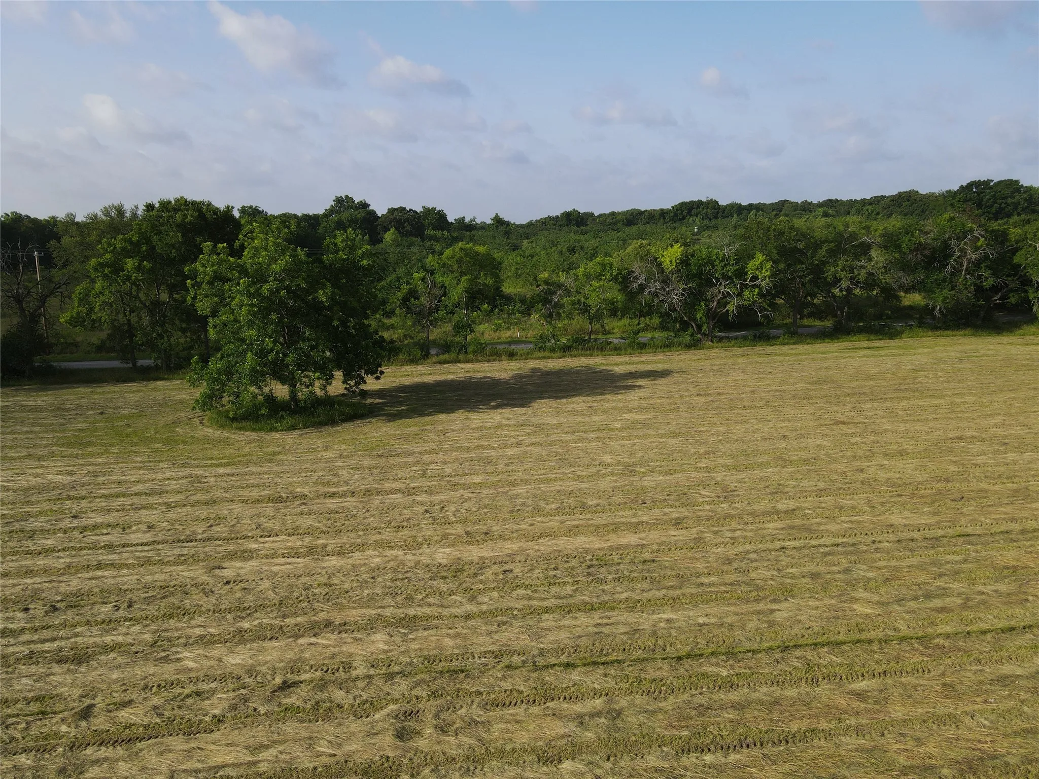 Unimproved Land For Sale in Fannin County , TBD Seven Oaks Road, Bonham, Texas 75418, 0, 0, Garage spaces, 0 Sqft, built in 0, mls#21316374, Real Estate Agent in Bonham, Homes For Sale in Fannin county, Homes For Sale in Bonham, Realtor in Bonham Texas, Real Estate Brokerage Independent Realty Texas, Luminita Cordes Realtor