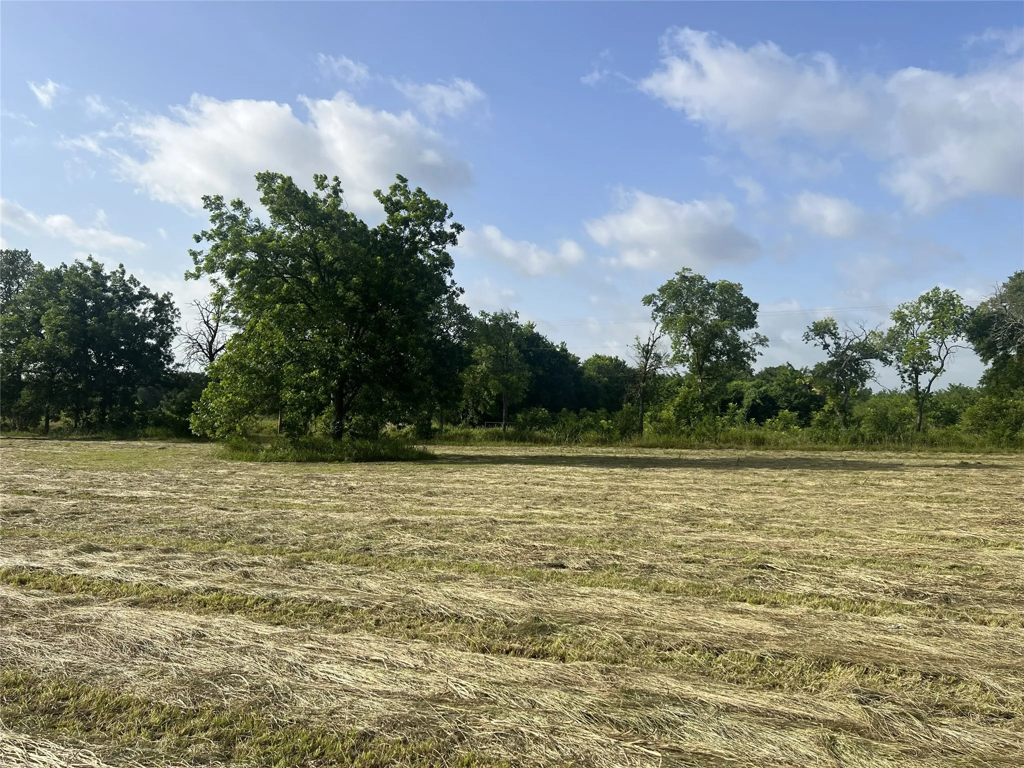Unimproved Land For Sale in Fannin County , TBD Seven Oaks Road, Bonham, Texas 75418, 0, 0, Garage spaces, 0 Sqft, built in 0, mls#21316374, Real Estate Agent in Bonham, Homes For Sale in Fannin county, Homes For Sale in Bonham, Realtor in Bonham Texas, Real Estate Brokerage Independent Realty Texas, Luminita Cordes Realtor