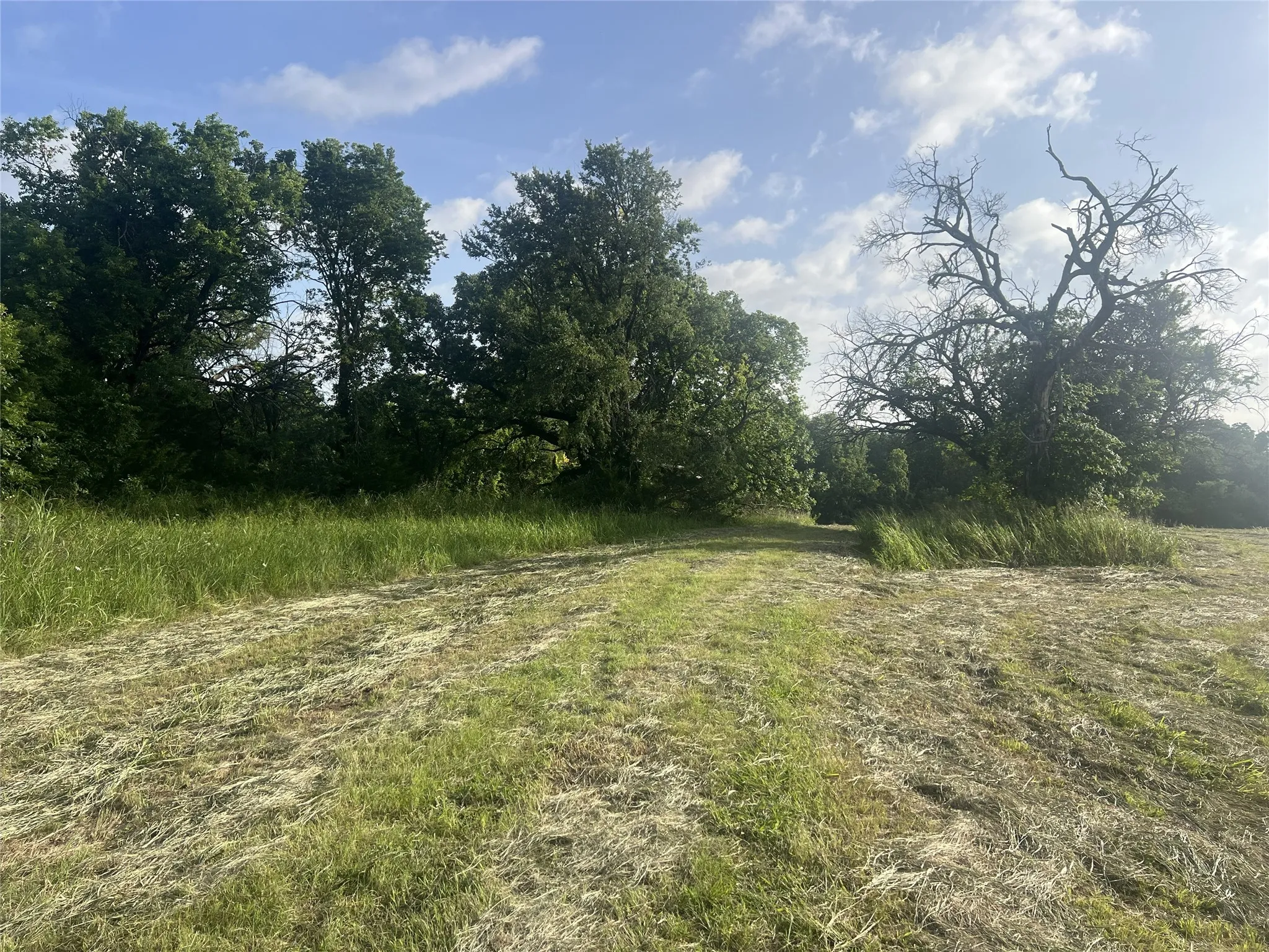 Unimproved Land For Sale in Fannin County , TBD Seven Oaks Road, Bonham, Texas 75418, 0, 0, Garage spaces, 0 Sqft, built in 0, mls#21316374, Real Estate Agent in Bonham, Homes For Sale in Fannin county, Homes For Sale in Bonham, Realtor in Bonham Texas, Real Estate Brokerage Independent Realty Texas, Luminita Cordes Realtor