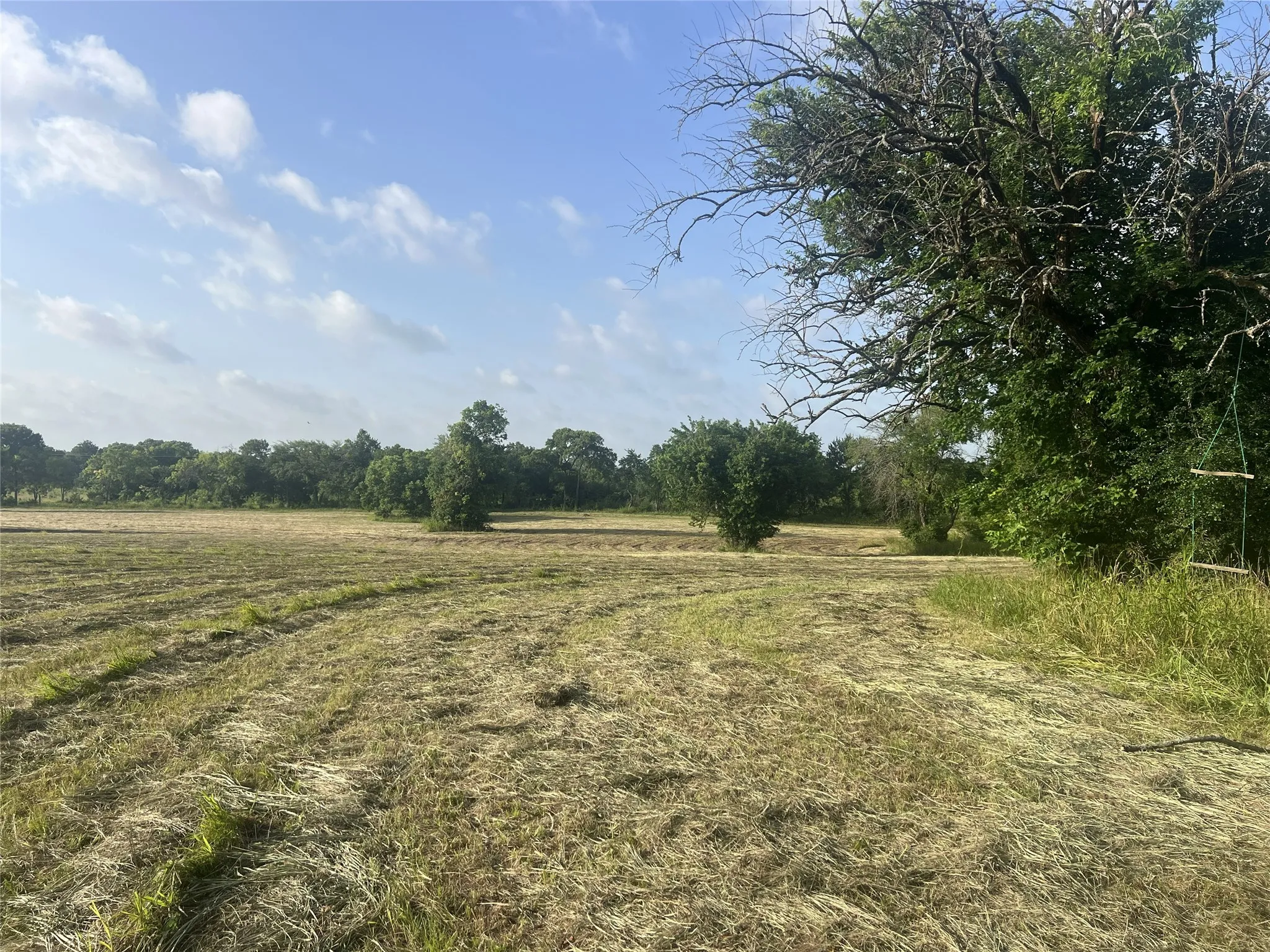 Unimproved Land For Sale in Fannin County , TBD Seven Oaks Road, Bonham, Texas 75418, 0, 0, Garage spaces, 0 Sqft, built in 0, mls#21316374, Real Estate Agent in Bonham, Homes For Sale in Fannin county, Homes For Sale in Bonham, Realtor in Bonham Texas, Real Estate Brokerage Independent Realty Texas, Luminita Cordes Realtor