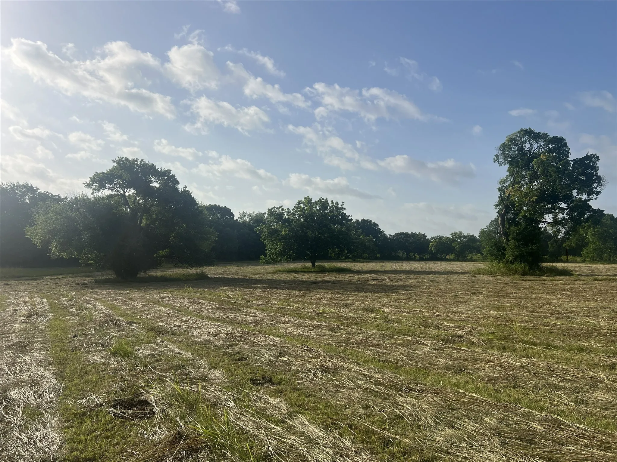 Unimproved Land For Sale in Fannin County , TBD Seven Oaks Road, Bonham, Texas 75418, 0, 0, Garage spaces, 0 Sqft, built in 0, mls#21316374, Real Estate Agent in Bonham, Homes For Sale in Fannin county, Homes For Sale in Bonham, Realtor in Bonham Texas, Real Estate Brokerage Independent Realty Texas, Luminita Cordes Realtor