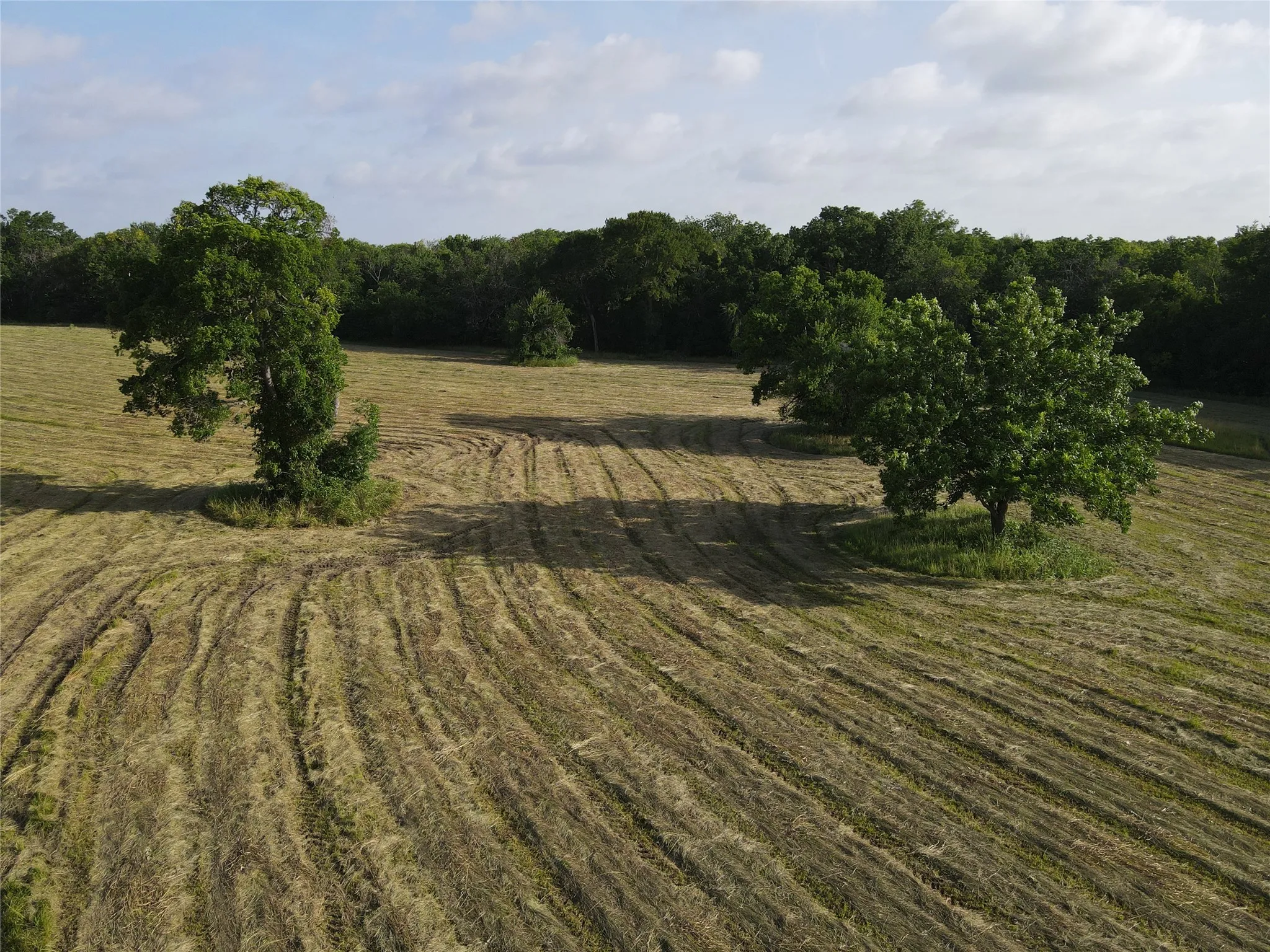 Unimproved Land For Sale in Fannin County , TBD Seven Oaks Road, Bonham, Texas 75418, 0, 0, Garage spaces, 0 Sqft, built in 0, mls#21316374, Real Estate Agent in Bonham, Homes For Sale in Fannin county, Homes For Sale in Bonham, Realtor in Bonham Texas, Real Estate Brokerage Independent Realty Texas, Luminita Cordes Realtor