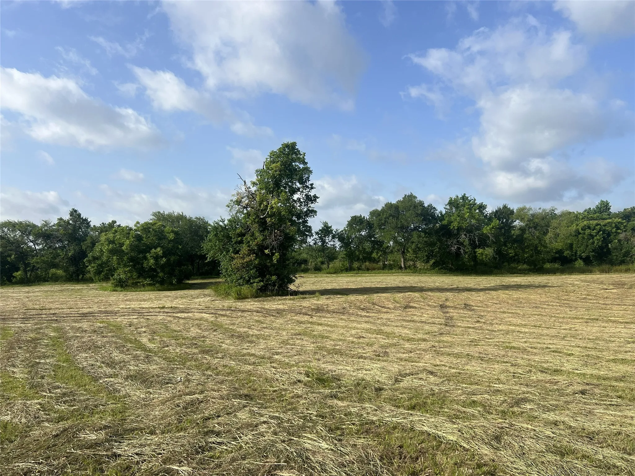Unimproved Land For Sale in Fannin County , TBD Seven Oaks Road, Bonham, Texas 75418, 0, 0, Garage spaces, 0 Sqft, built in 0, mls#21316374, Real Estate Agent in Bonham, Homes For Sale in Fannin county, Homes For Sale in Bonham, Realtor in Bonham Texas, Real Estate Brokerage Independent Realty Texas, Luminita Cordes Realtor