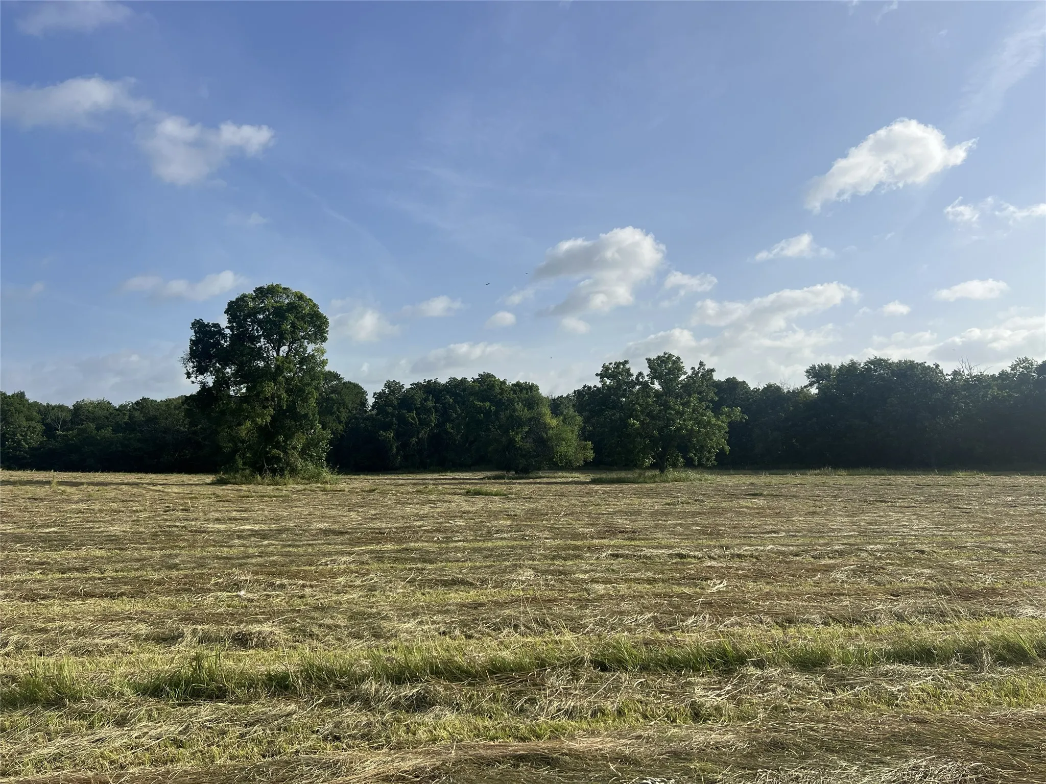 Unimproved Land For Sale in Fannin County , TBD Seven Oaks Road, Bonham, Texas 75418, 0, 0, Garage spaces, 0 Sqft, built in 0, mls#21316374, Real Estate Agent in Bonham, Homes For Sale in Fannin county, Homes For Sale in Bonham, Realtor in Bonham Texas, Real Estate Brokerage Independent Realty Texas, Luminita Cordes Realtor