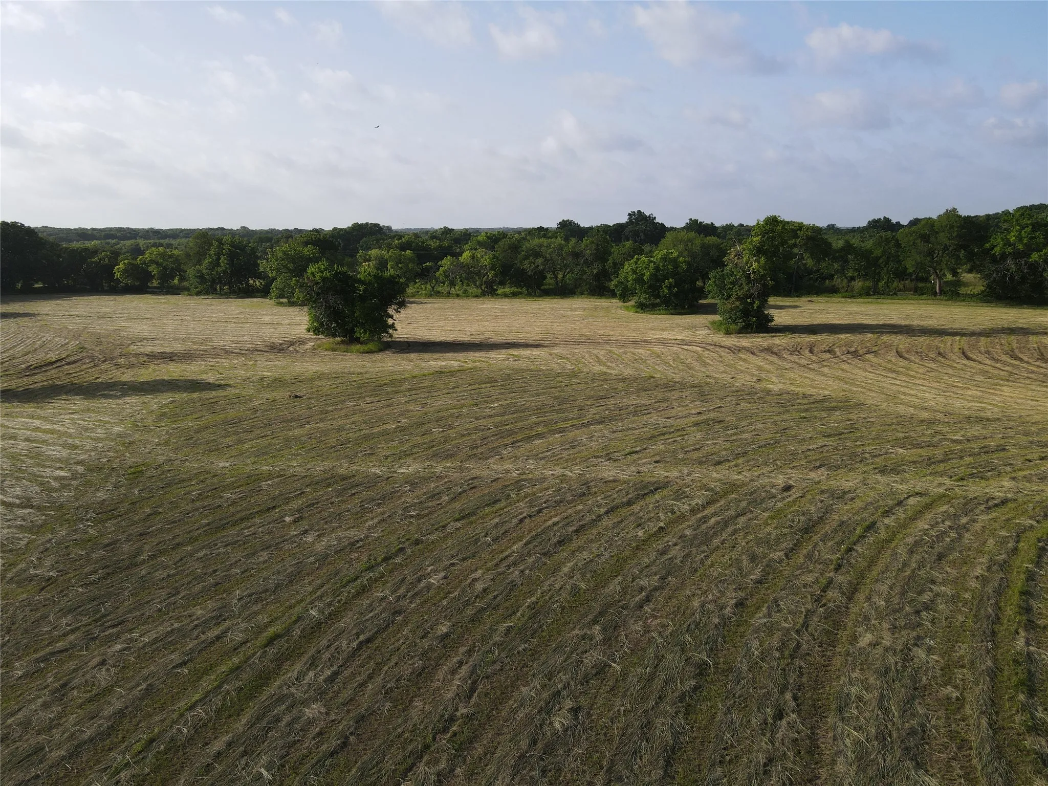 Unimproved Land For Sale in Fannin County , TBD Seven Oaks Road, Bonham, Texas 75418, 0, 0, Garage spaces, 0 Sqft, built in 0, mls#21316374, Real Estate Agent in Bonham, Homes For Sale in Fannin county, Homes For Sale in Bonham, Realtor in Bonham Texas, Real Estate Brokerage Independent Realty Texas, Luminita Cordes Realtor