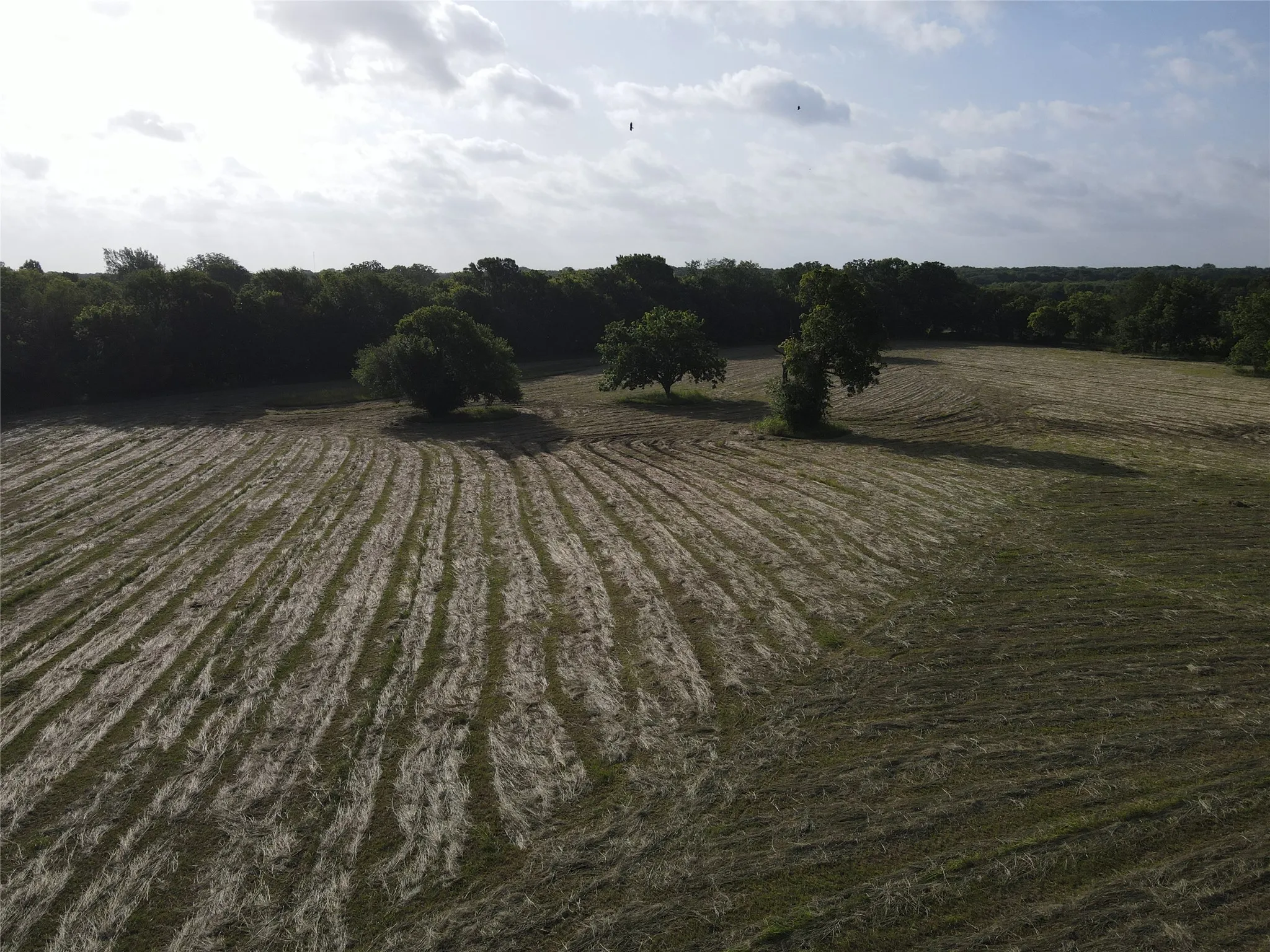 Unimproved Land For Sale in Fannin County , TBD Seven Oaks Road, Bonham, Texas 75418, 0, 0, Garage spaces, 0 Sqft, built in 0, mls#21316374, Real Estate Agent in Bonham, Homes For Sale in Fannin county, Homes For Sale in Bonham, Realtor in Bonham Texas, Real Estate Brokerage Independent Realty Texas, Luminita Cordes Realtor