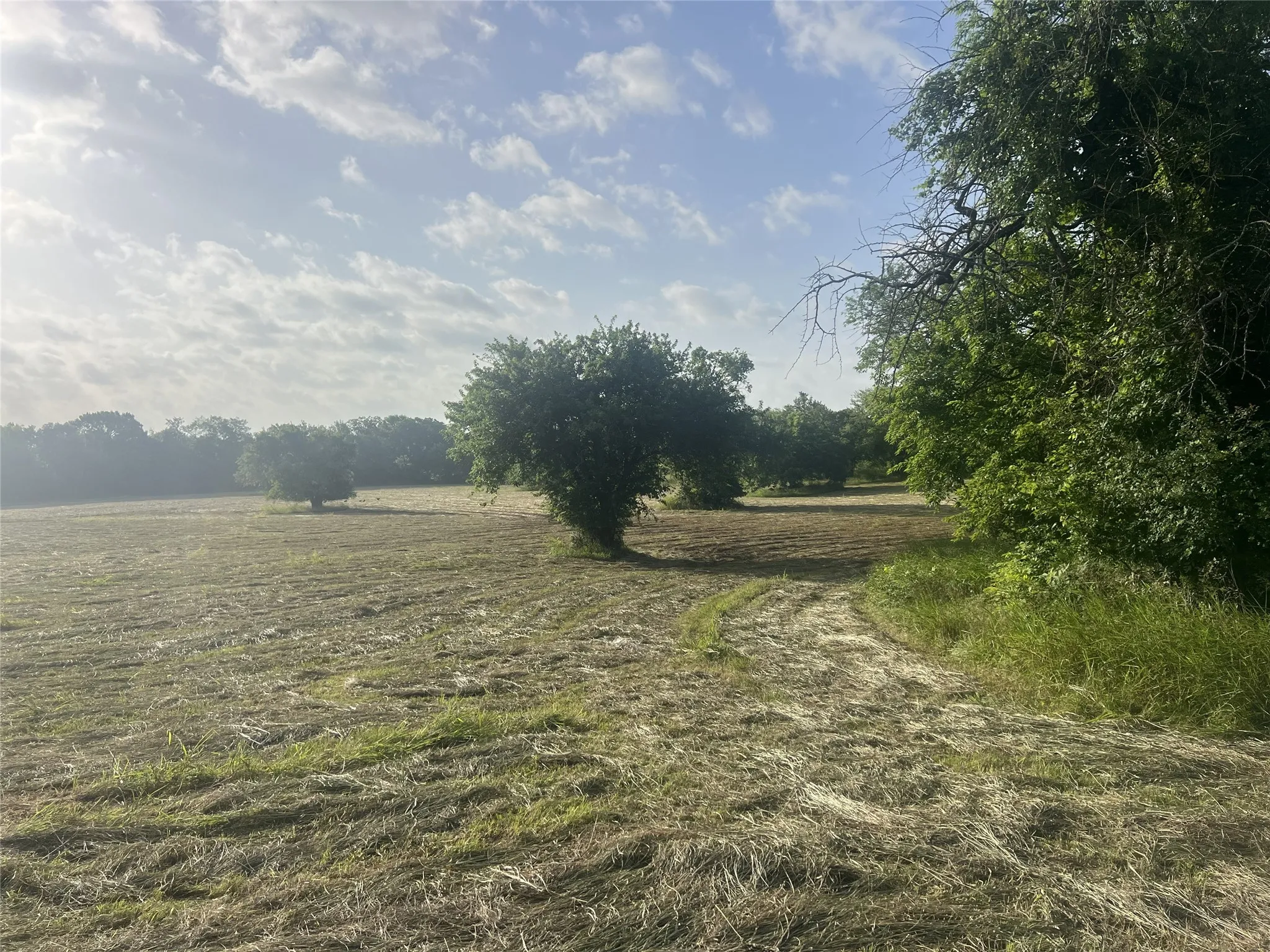 Unimproved Land For Sale in Fannin County , TBD Seven Oaks Road, Bonham, Texas 75418, 0, 0, Garage spaces, 0 Sqft, built in 0, mls#21316374, Real Estate Agent in Bonham, Homes For Sale in Fannin county, Homes For Sale in Bonham, Realtor in Bonham Texas, Real Estate Brokerage Independent Realty Texas, Luminita Cordes Realtor