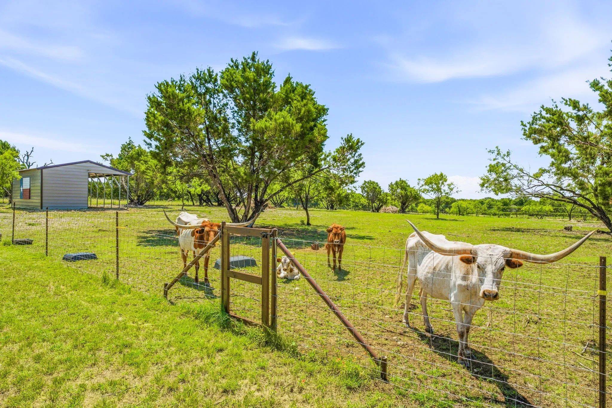 Farm For Sale in Bosque County , 1271 Private 2120 Road, Meridian, Texas 76665, 2 Bedroom, 1 Bathroom, 2 Garage spaces, 1,200 Sqft, built in 2024, mls#21312363, Real Estate Agent in Meridian, Homes For Sale in Bosque county, Homes For Sale in Meridian, Realtor in Meridian Texas, Real Estate Brokerage Independent Realty Texas, Luminita Cordes Realtor