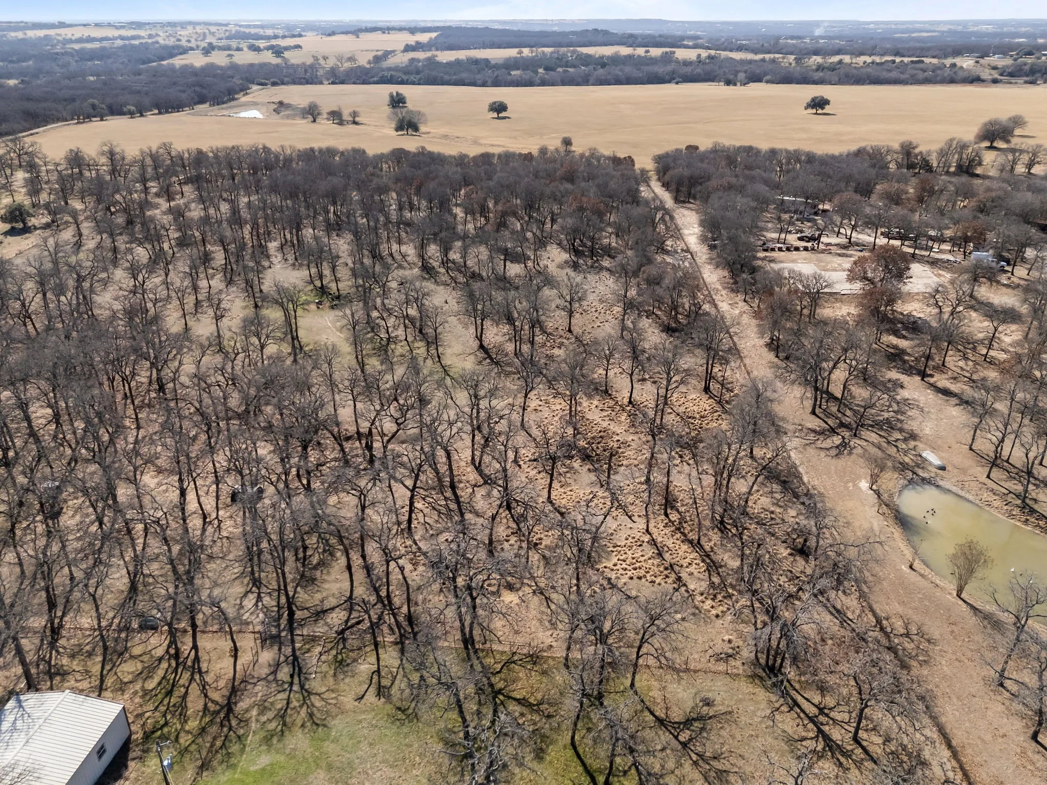 Expansive natural landscape featuring dense tree coverage, open fields, and a visible pond