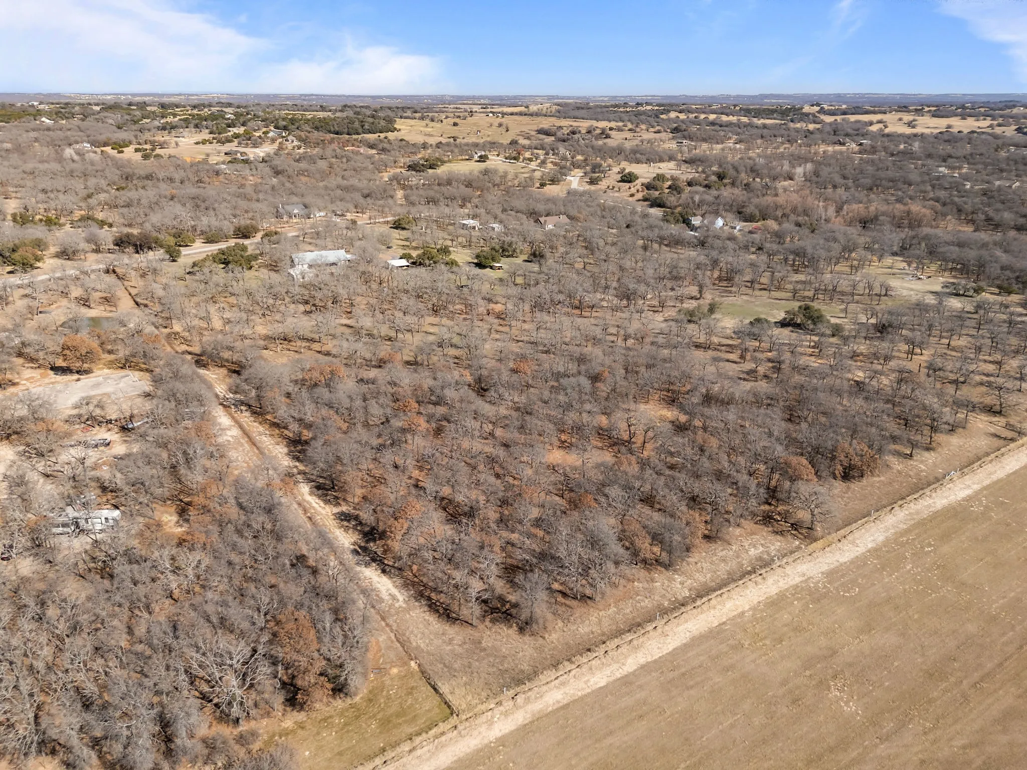 Expansive wooded acreage with mature trees