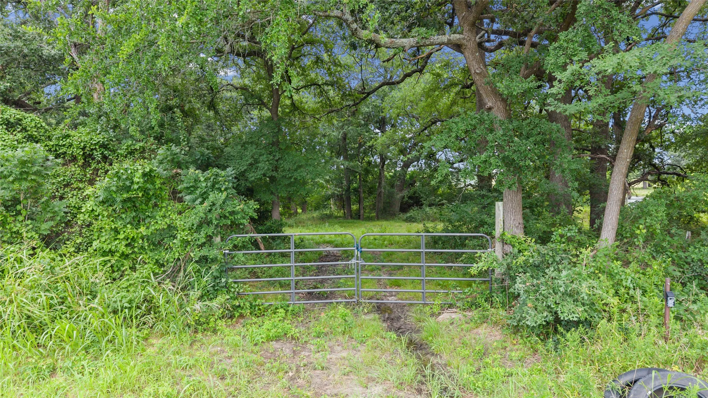 Improved Land For Sale in Fannin County , 32.243 Acres S Hwy 121 Highway, Bonham, Texas 75418, 0, 0, Garage spaces, 0 Sqft, built in 2002, mls#21309952, Real Estate Agent in Bonham, Homes For Sale in Fannin county, Homes For Sale in Bonham, Realtor in Bonham Texas, Real Estate Brokerage Independent Realty Texas, Luminita Cordes Realtor