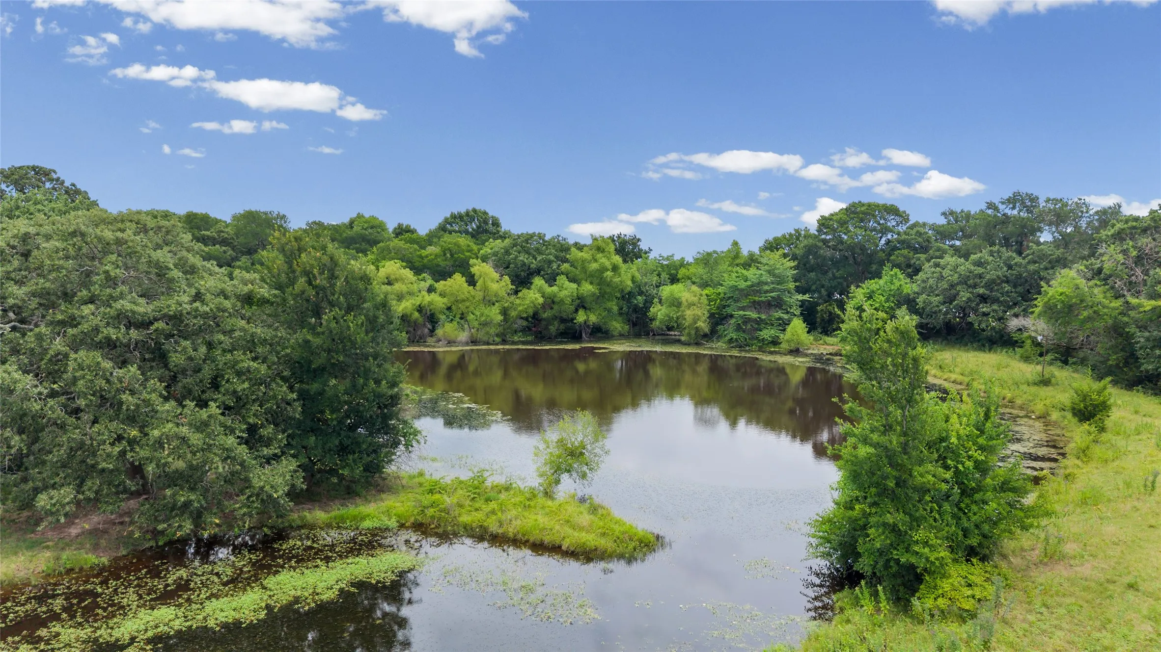 Improved Land For Sale in Fannin County , 32.243 Acres S Hwy 121 Highway, Bonham, Texas 75418, 0, 0, Garage spaces, 0 Sqft, built in 2002, mls#21309952, Real Estate Agent in Bonham, Homes For Sale in Fannin county, Homes For Sale in Bonham, Realtor in Bonham Texas, Real Estate Brokerage Independent Realty Texas, Luminita Cordes Realtor