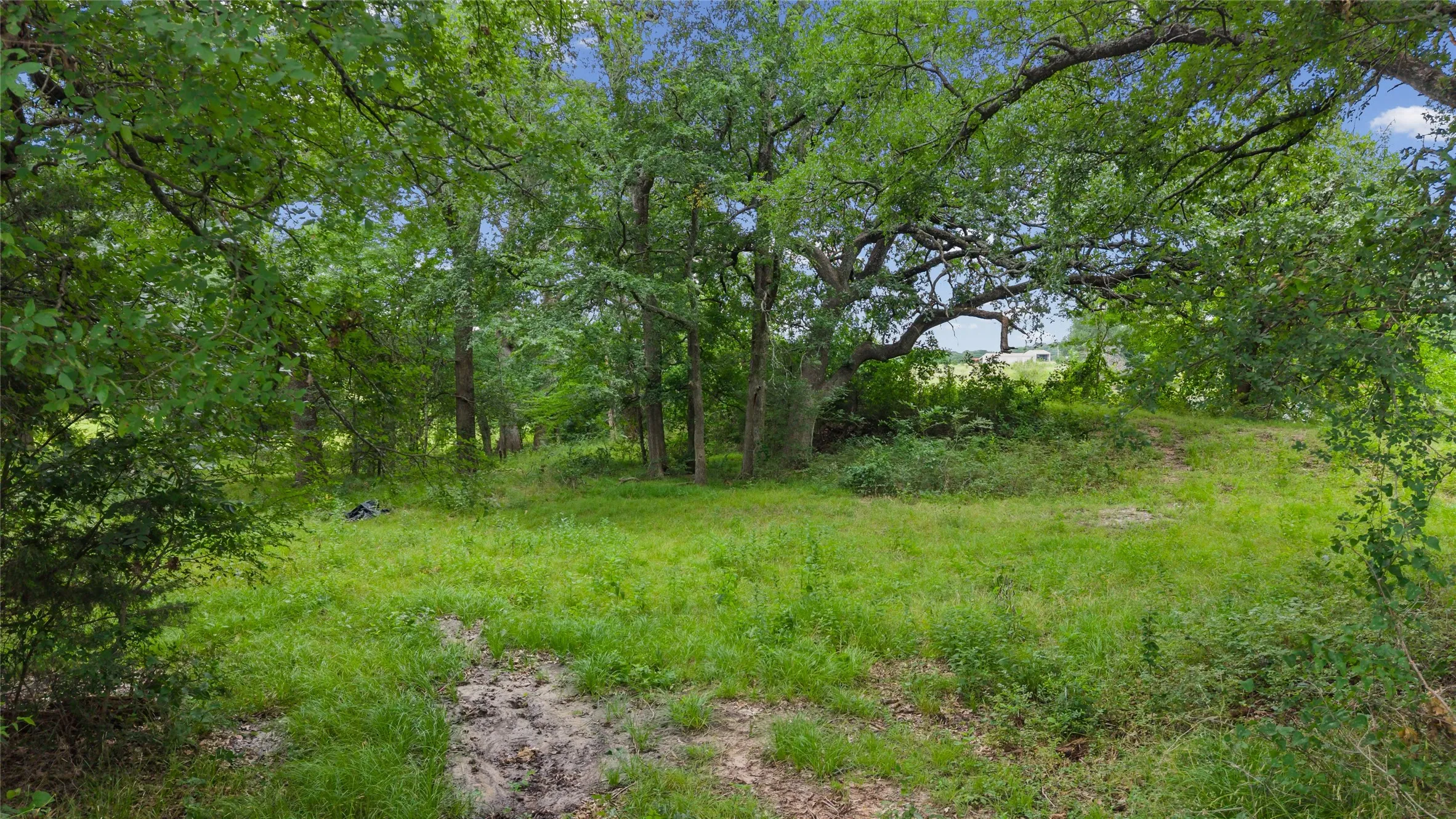 Improved Land For Sale in Fannin County , 32.243 Acres S Hwy 121 Highway, Bonham, Texas 75418, 0, 0, Garage spaces, 0 Sqft, built in 2002, mls#21309952, Real Estate Agent in Bonham, Homes For Sale in Fannin county, Homes For Sale in Bonham, Realtor in Bonham Texas, Real Estate Brokerage Independent Realty Texas, Luminita Cordes Realtor