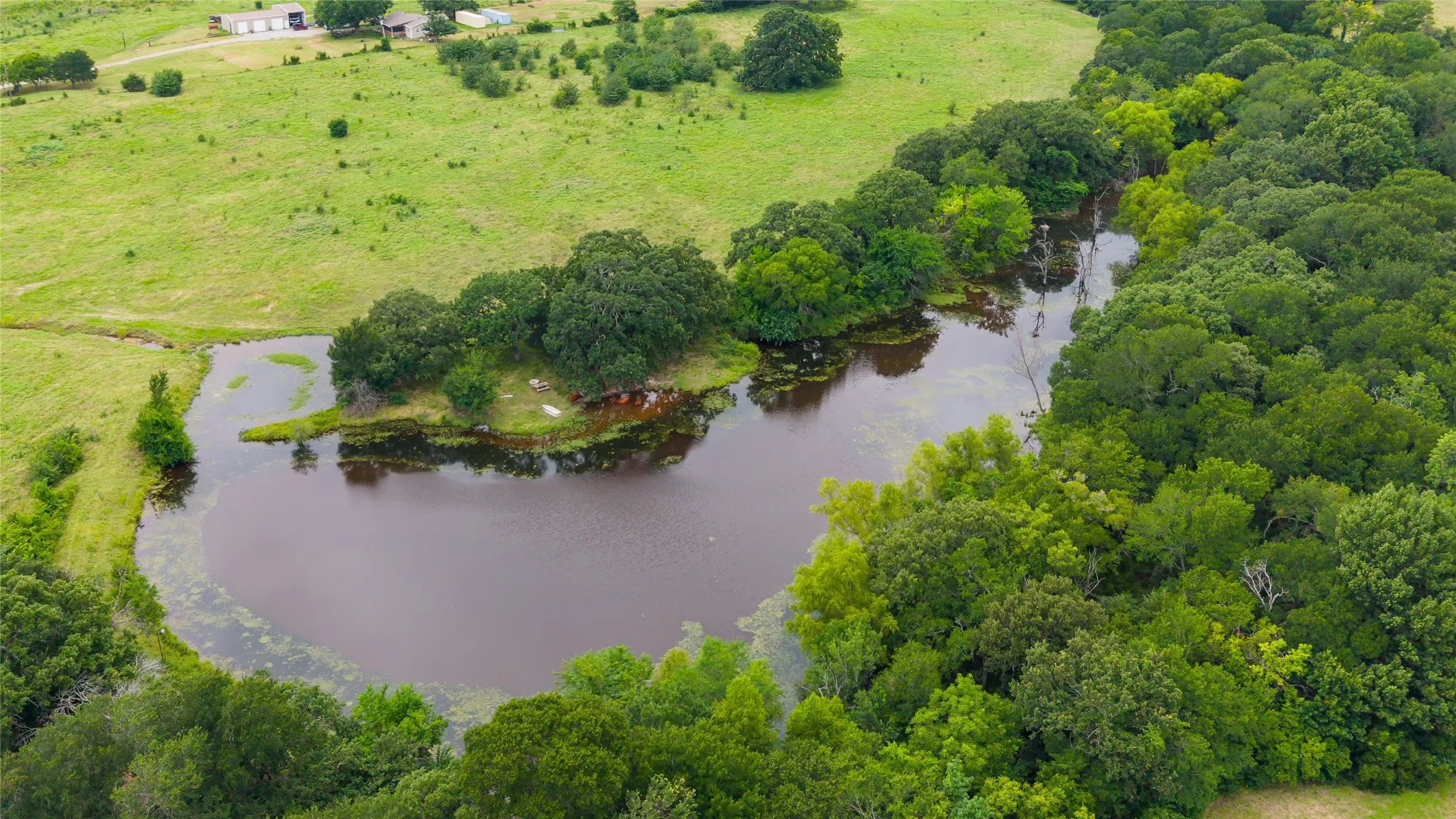 Improved Land For Sale in Fannin County , 32.243 Acres S Hwy 121 Highway, Bonham, Texas 75418, 0, 0, Garage spaces, 0 Sqft, built in 2002, mls#21309952, Real Estate Agent in Bonham, Homes For Sale in Fannin county, Homes For Sale in Bonham, Realtor in Bonham Texas, Real Estate Brokerage Independent Realty Texas, Luminita Cordes Realtor