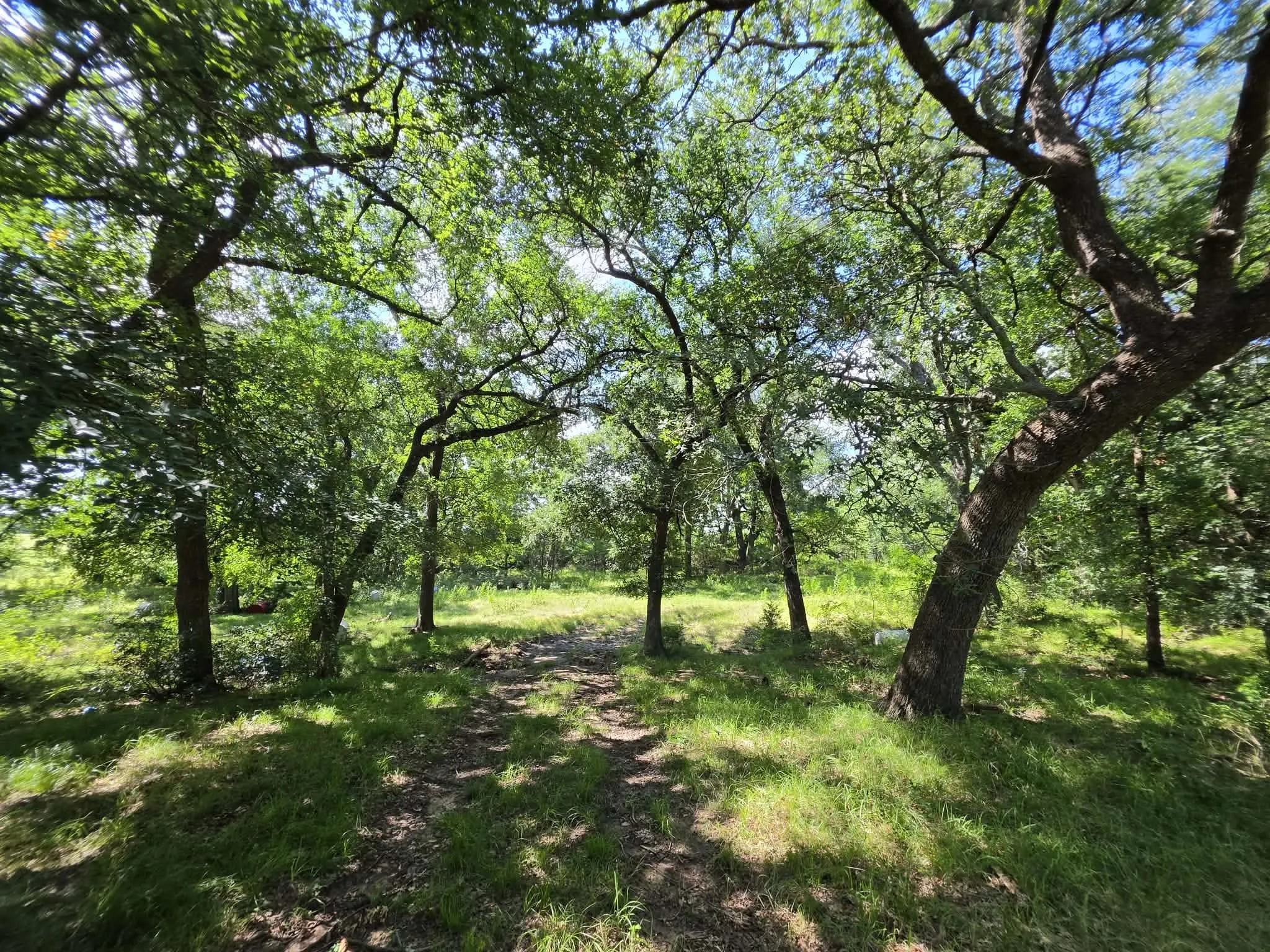 Improved Land For Sale in Fannin County , 32.243 Acres S Hwy 121 Highway, Bonham, Texas 75418, 0, 0, Garage spaces, 0 Sqft, built in 2002, mls#21309952, Real Estate Agent in Bonham, Homes For Sale in Fannin county, Homes For Sale in Bonham, Realtor in Bonham Texas, Real Estate Brokerage Independent Realty Texas, Luminita Cordes Realtor