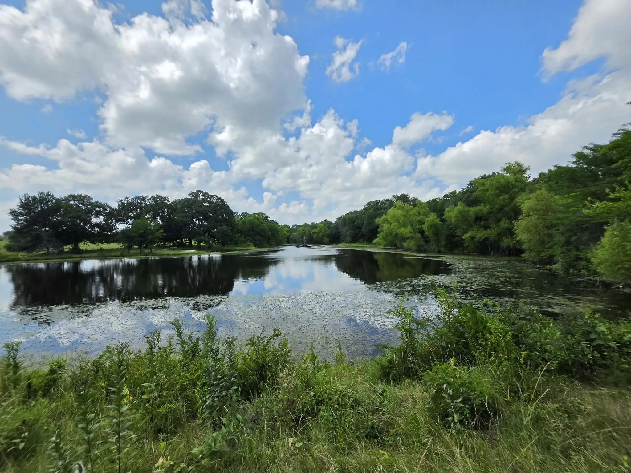 Improved Land For Sale in Fannin County , 32.243 Acres S Hwy 121 Highway, Bonham, Texas 75418, 0, 0, Garage spaces, 0 Sqft, built in 2002, mls#21309952, Real Estate Agent in Bonham, Homes For Sale in Fannin county, Homes For Sale in Bonham, Realtor in Bonham Texas, Real Estate Brokerage Independent Realty Texas, Luminita Cordes Realtor