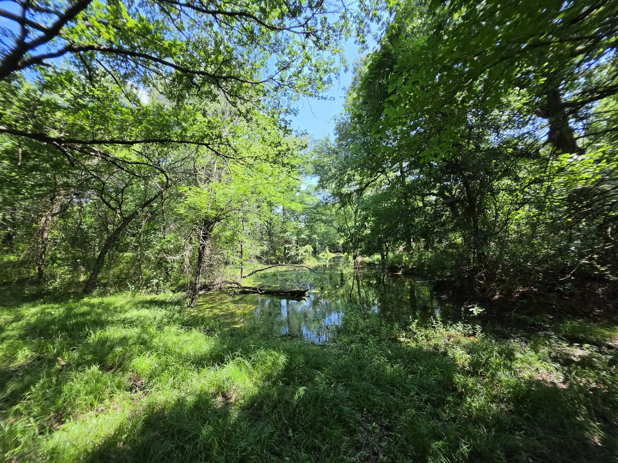 Improved Land For Sale in Fannin County , 32.243 Acres S Hwy 121 Highway, Bonham, Texas 75418, 0, 0, Garage spaces, 0 Sqft, built in 2002, mls#21309952, Real Estate Agent in Bonham, Homes For Sale in Fannin county, Homes For Sale in Bonham, Realtor in Bonham Texas, Real Estate Brokerage Independent Realty Texas, Luminita Cordes Realtor