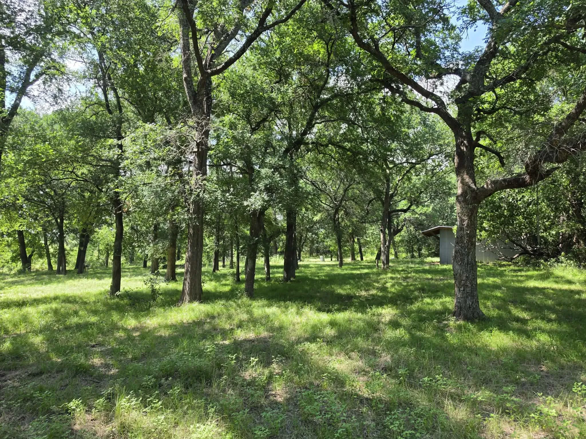 Improved Land For Sale in Fannin County , 32.243 Acres S Hwy 121 Highway, Bonham, Texas 75418, 0, 0, Garage spaces, 0 Sqft, built in 2002, mls#21309952, Real Estate Agent in Bonham, Homes For Sale in Fannin county, Homes For Sale in Bonham, Realtor in Bonham Texas, Real Estate Brokerage Independent Realty Texas, Luminita Cordes Realtor