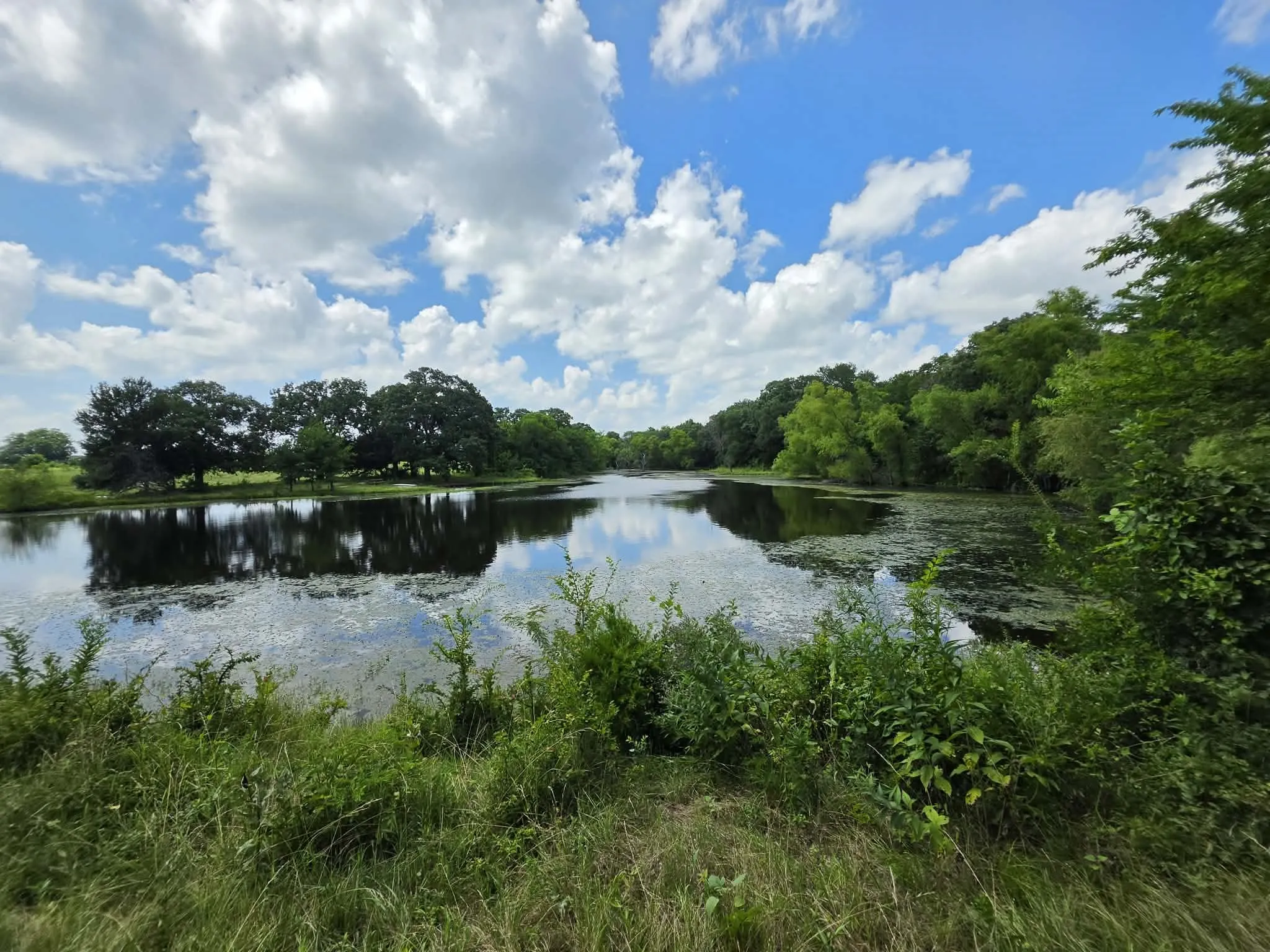 Improved Land For Sale in Fannin County , 32.243 Acres S Hwy 121 Highway, Bonham, Texas 75418, 0, 0, Garage spaces, 0 Sqft, built in 2002, mls#21309952, Real Estate Agent in Bonham, Homes For Sale in Fannin county, Homes For Sale in Bonham, Realtor in Bonham Texas, Real Estate Brokerage Independent Realty Texas, Luminita Cordes Realtor