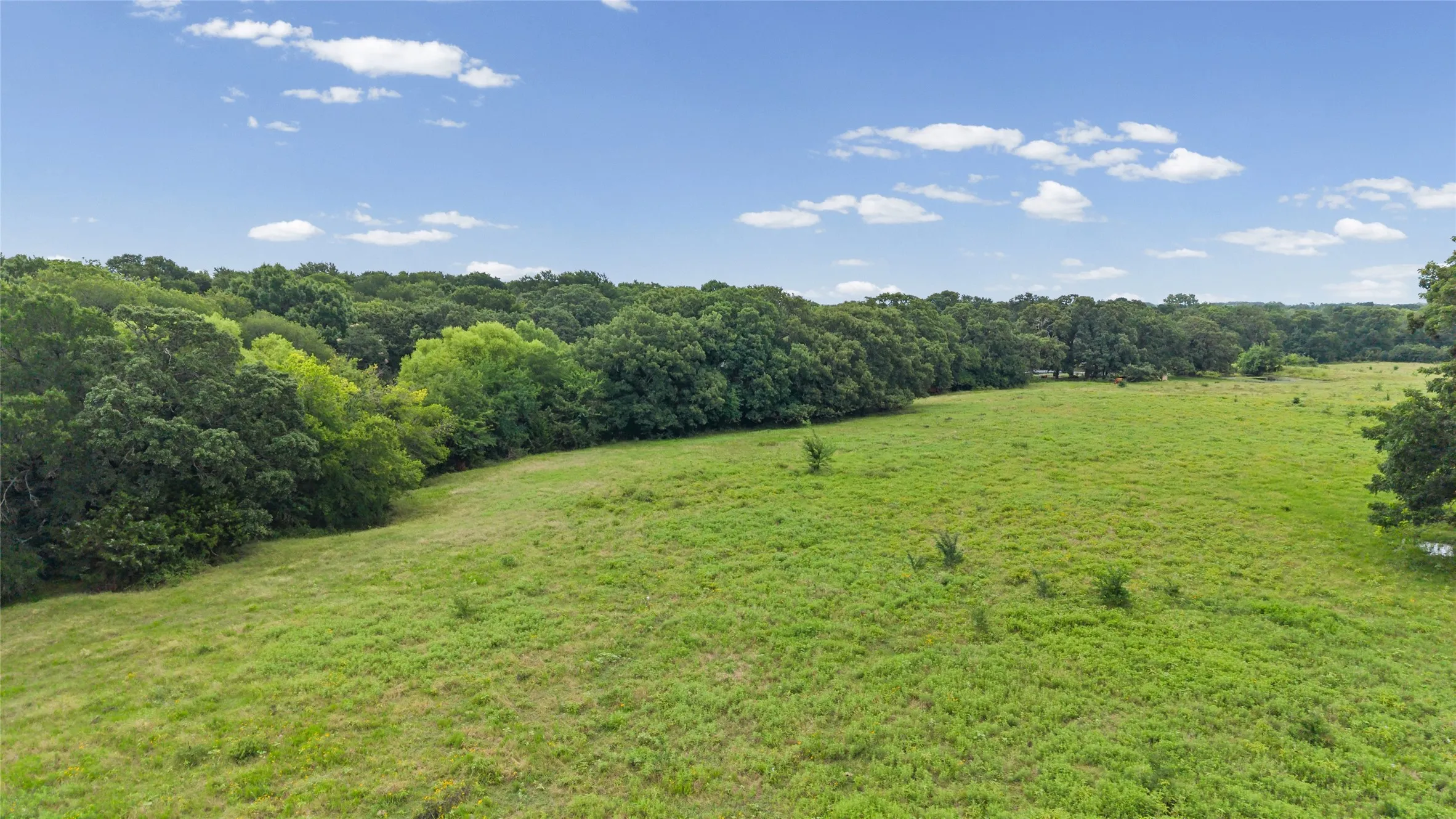 Improved Land For Sale in Fannin County , 32.243 Acres S Hwy 121 Highway, Bonham, Texas 75418, 0, 0, Garage spaces, 0 Sqft, built in 2002, mls#21309952, Real Estate Agent in Bonham, Homes For Sale in Fannin county, Homes For Sale in Bonham, Realtor in Bonham Texas, Real Estate Brokerage Independent Realty Texas, Luminita Cordes Realtor