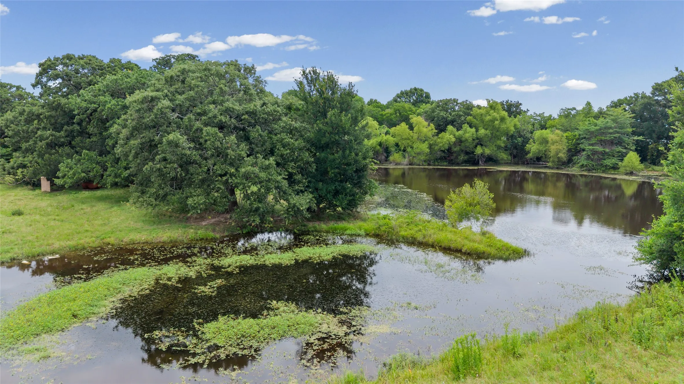 Improved Land For Sale in Fannin County , 32.243 Acres S Hwy 121 Highway, Bonham, Texas 75418, 0, 0, Garage spaces, 0 Sqft, built in 2002, mls#21309952, Real Estate Agent in Bonham, Homes For Sale in Fannin county, Homes For Sale in Bonham, Realtor in Bonham Texas, Real Estate Brokerage Independent Realty Texas, Luminita Cordes Realtor