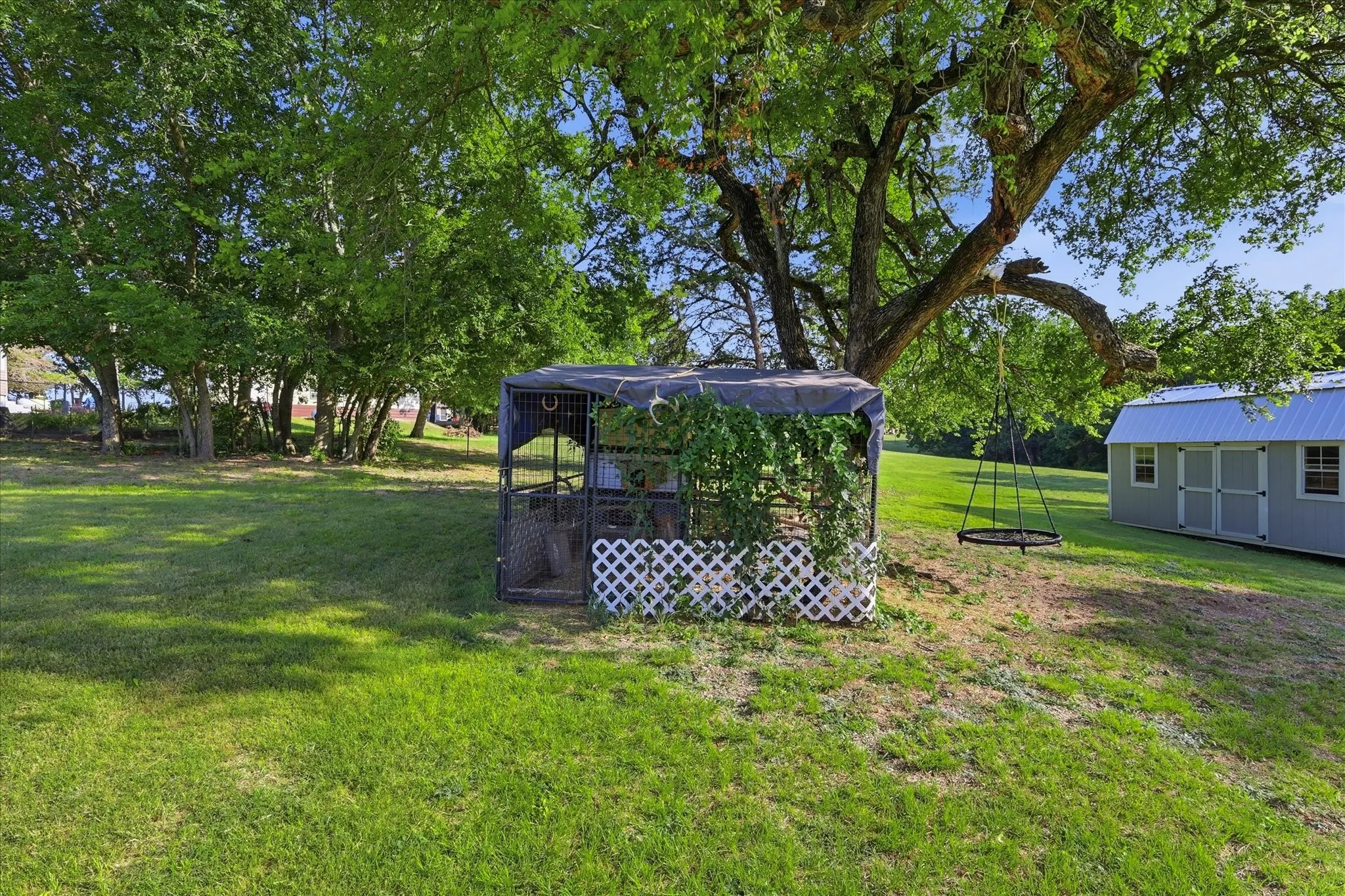 Expansive green lawn featuring mature trees, a detached storage shed with a metal roof, and a covered outdoor structure with lattice detailing