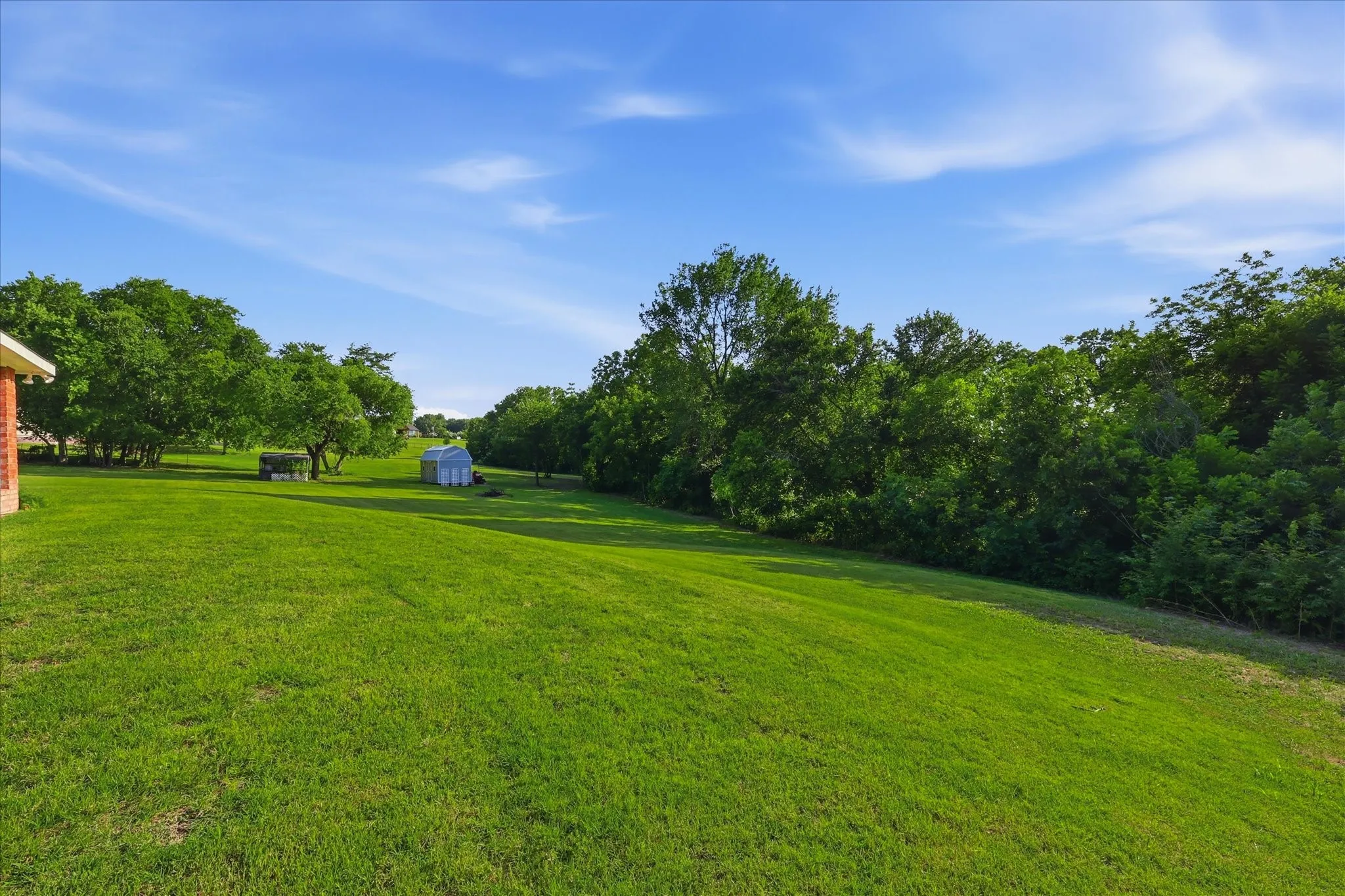 Expansive green lawn surrounded by mature trees, featuring a visible shed structure in the distance