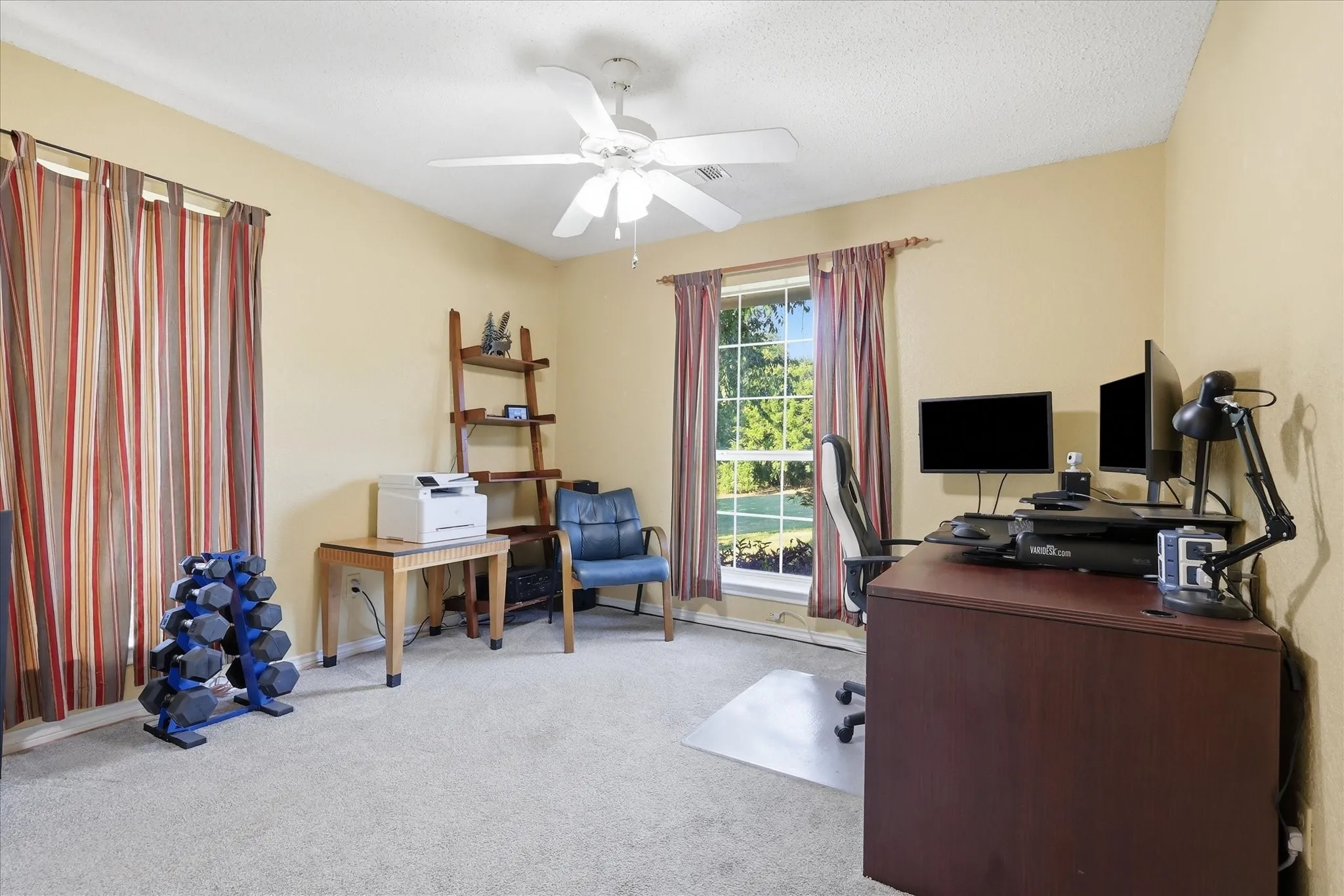 Carpeted room with a ceiling fan, two windows featuring drapes, and a built-in wooden ladder shelf