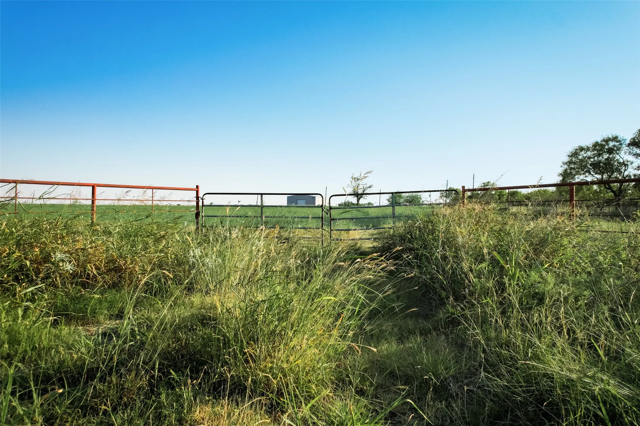 Unimproved Land For Sale in Ellis County , 4738 Fm 85, Ennis, Texas 75119, 0, 0, Garage spaces, 0 Sqft, built in 2008, mls#21316607, Real Estate Agent in Ennis, Homes For Sale in Ellis county, Homes For Sale in Ennis, Realtor in Ennis Texas, Real Estate Brokerage Independent Realty Texas, Luminita Cordes Realtor