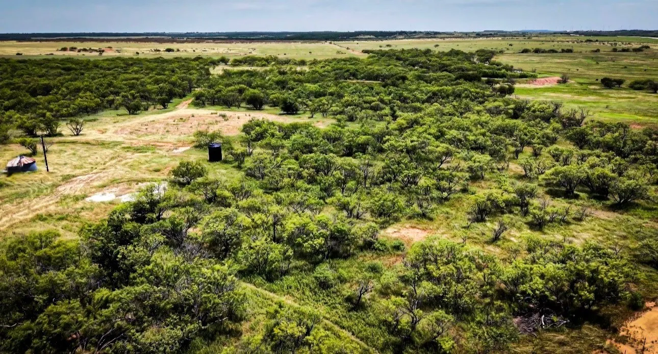 Unimproved Land For Sale in Young County , 5160 FM 2652, Loving, Texas 76460, 0, 0, Garage spaces, 0 Sqft, built in 0, mls#21315058, Real Estate Agent in Loving, Homes For Sale in Young county, Homes For Sale in Loving, Realtor in Loving Texas, Real Estate Brokerage Independent Realty Texas, Luminita Cordes Realtor