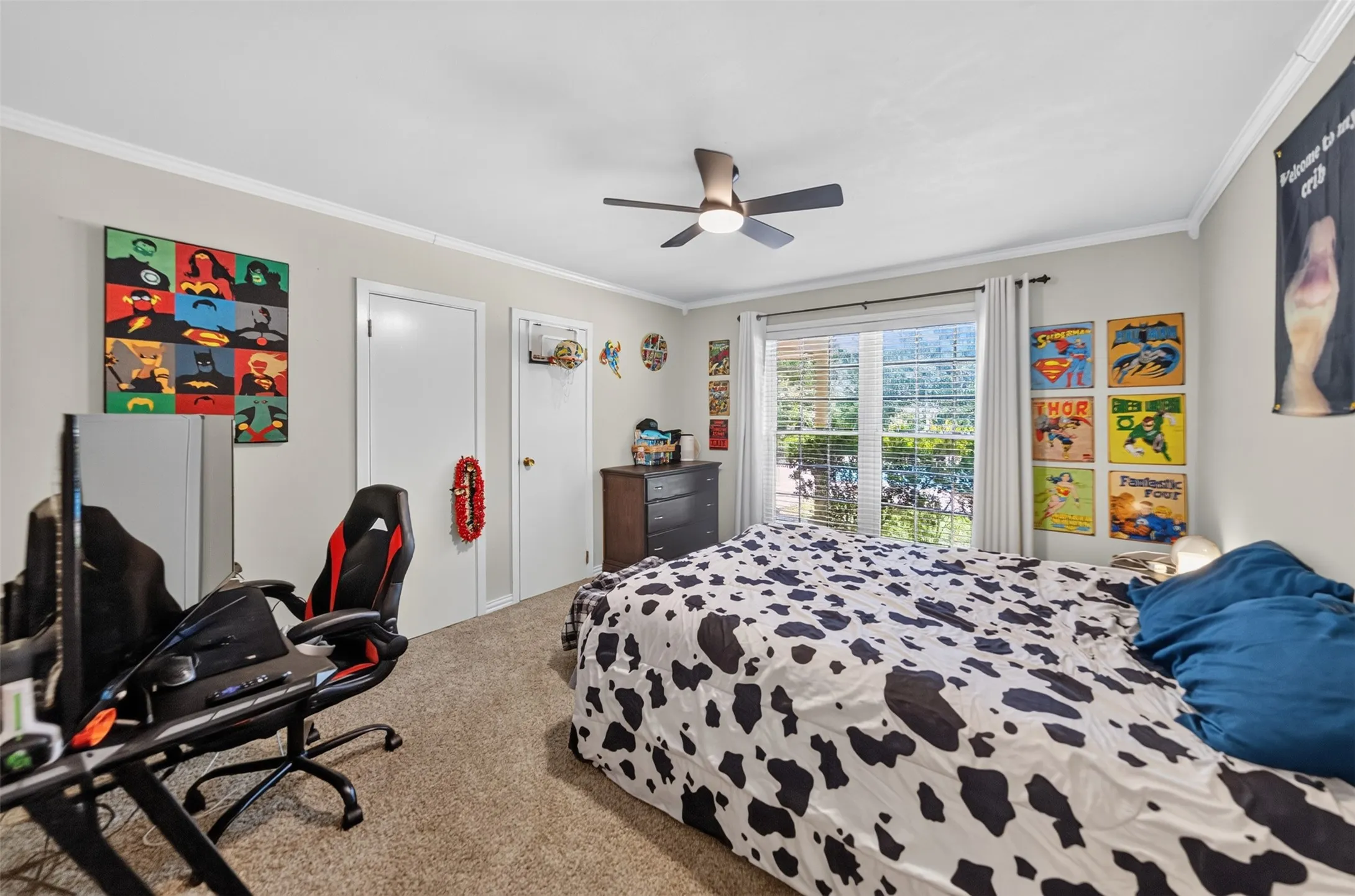 Carpeted room featuring a ceiling fan with light, a window with horizontal blinds, and crown molding