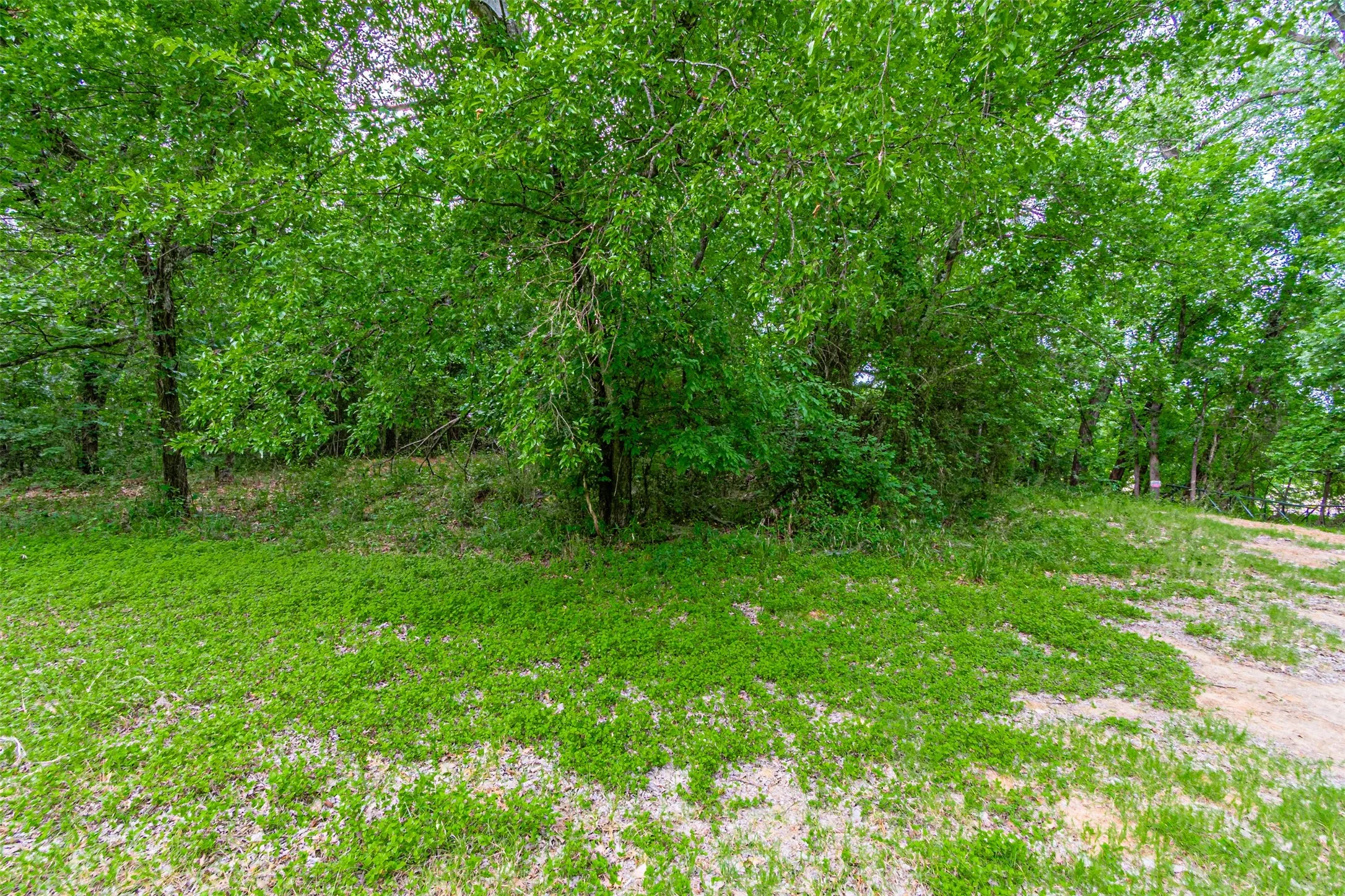 Farm For Sale in Hood County , TBD River View Court, Granbury, Texas 76048, 0, 0, Garage spaces, 0 Sqft, built in 1970, mls#21316657, Real Estate Agent in Granbury, Homes For Sale in Hood county, Homes For Sale in Granbury, Realtor in Granbury Texas, Real Estate Brokerage Independent Realty Texas, Luminita Cordes Realtor