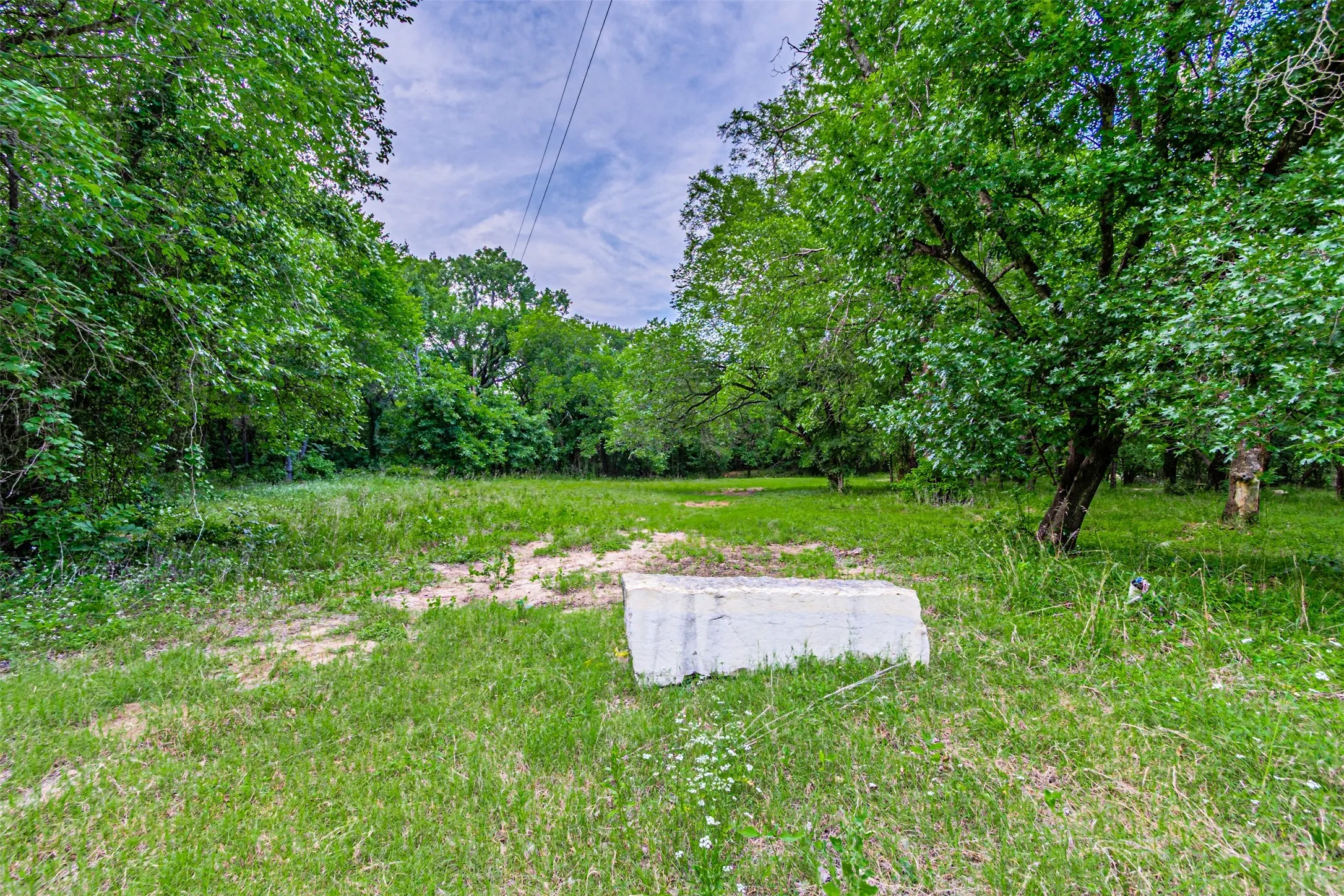 Expansive grassy lot surrounded by mature trees, featuring a clear building area and natural landscaping