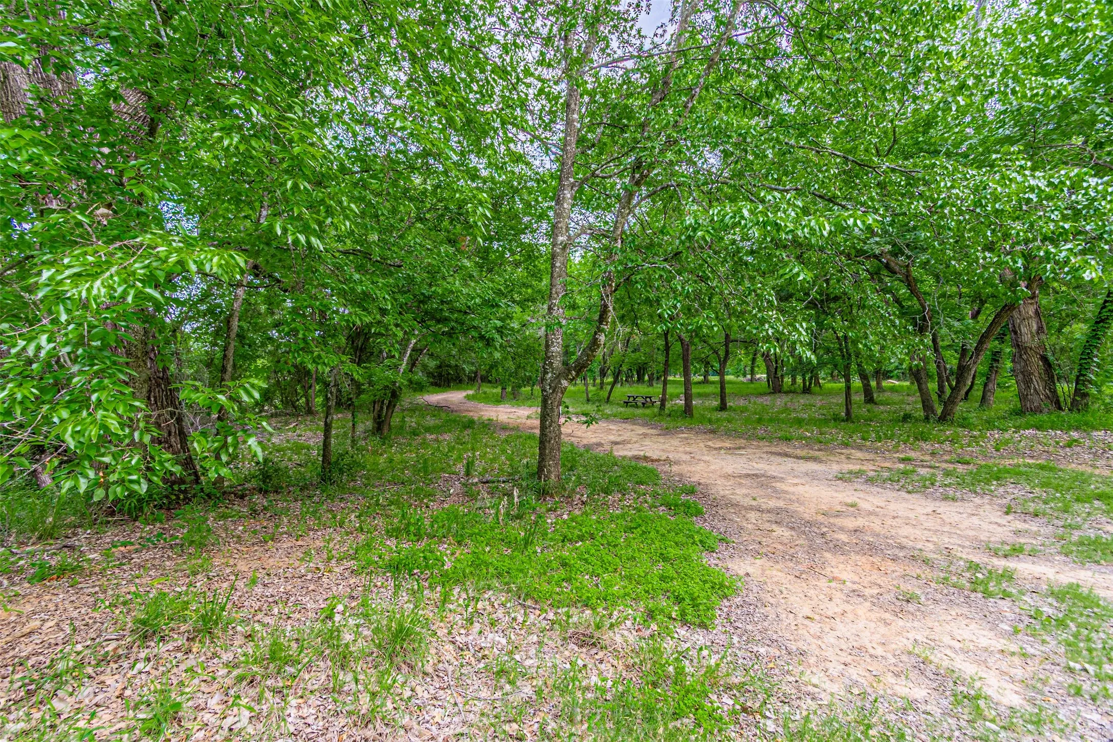 Farm For Sale in Hood County , TBD River View Court, Granbury, Texas 76048, 0, 0, Garage spaces, 0 Sqft, built in 1970, mls#21316657, Real Estate Agent in Granbury, Homes For Sale in Hood county, Homes For Sale in Granbury, Realtor in Granbury Texas, Real Estate Brokerage Independent Realty Texas, Luminita Cordes Realtor