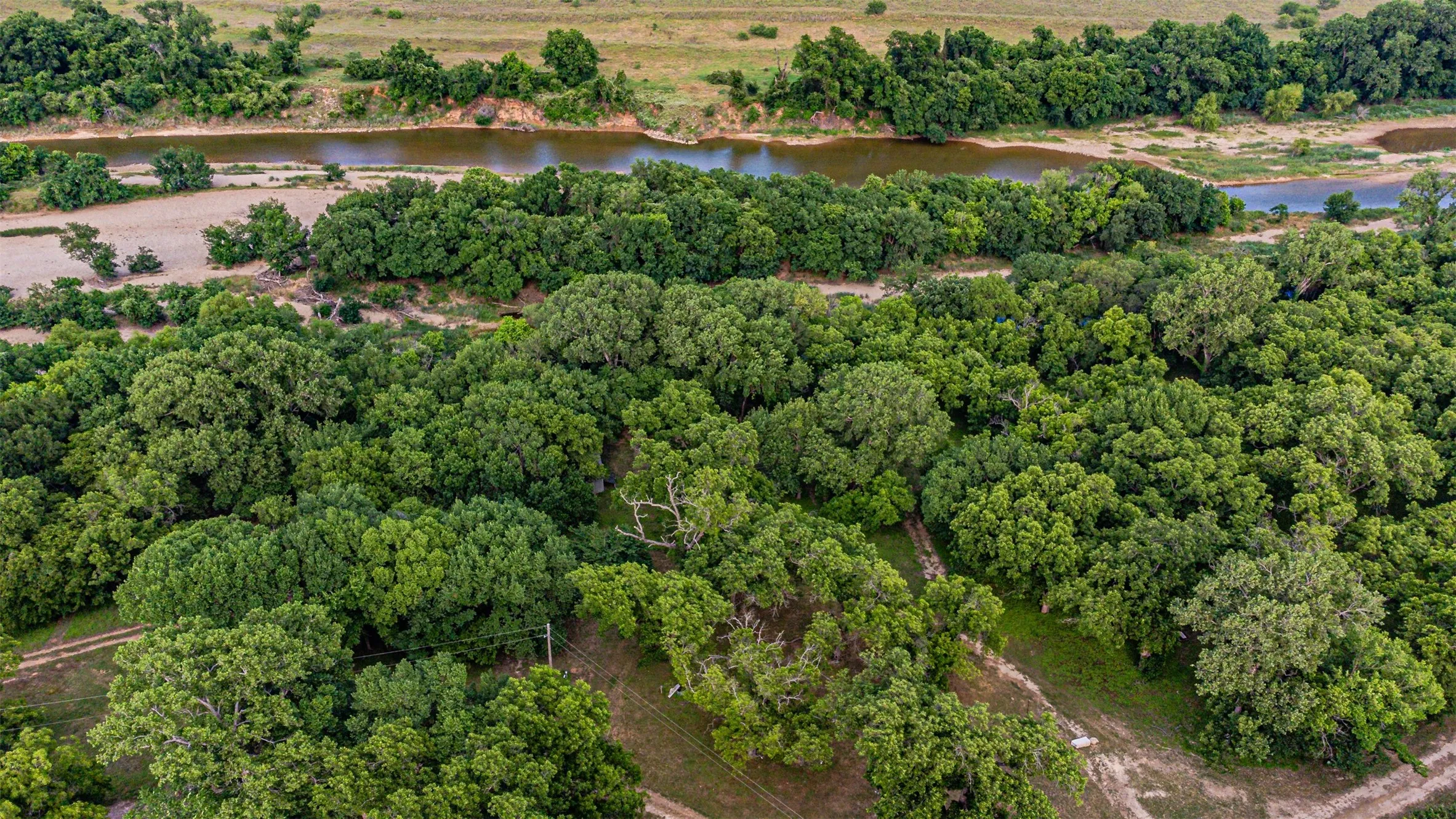 Extensive tree canopy and natural landscape bordering a river with sandy banks