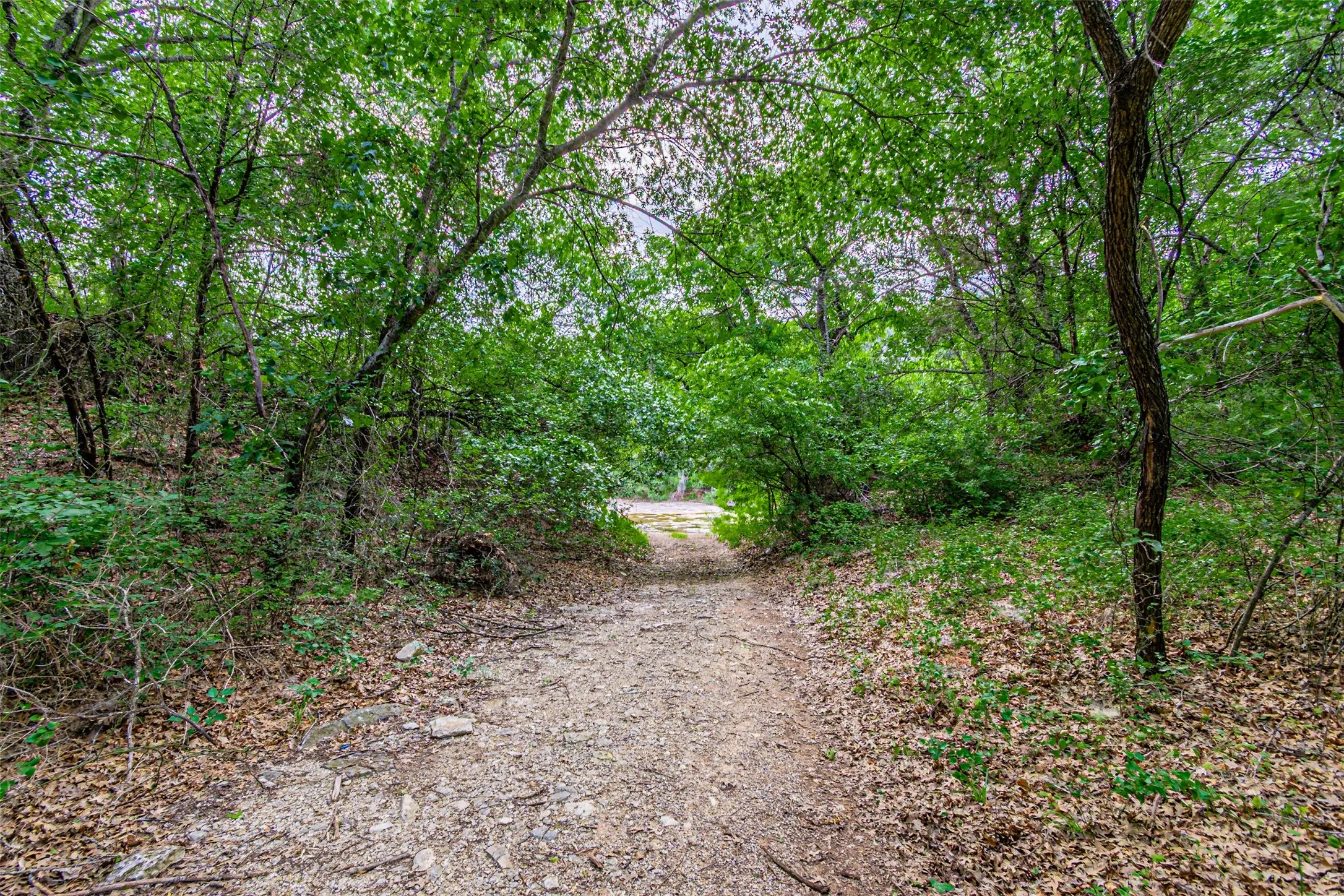 Farm For Sale in Hood County , TBD River View Court, Granbury, Texas 76048, 0, 0, Garage spaces, 0 Sqft, built in 1970, mls#21316657, Real Estate Agent in Granbury, Homes For Sale in Hood county, Homes For Sale in Granbury, Realtor in Granbury Texas, Real Estate Brokerage Independent Realty Texas, Luminita Cordes Realtor