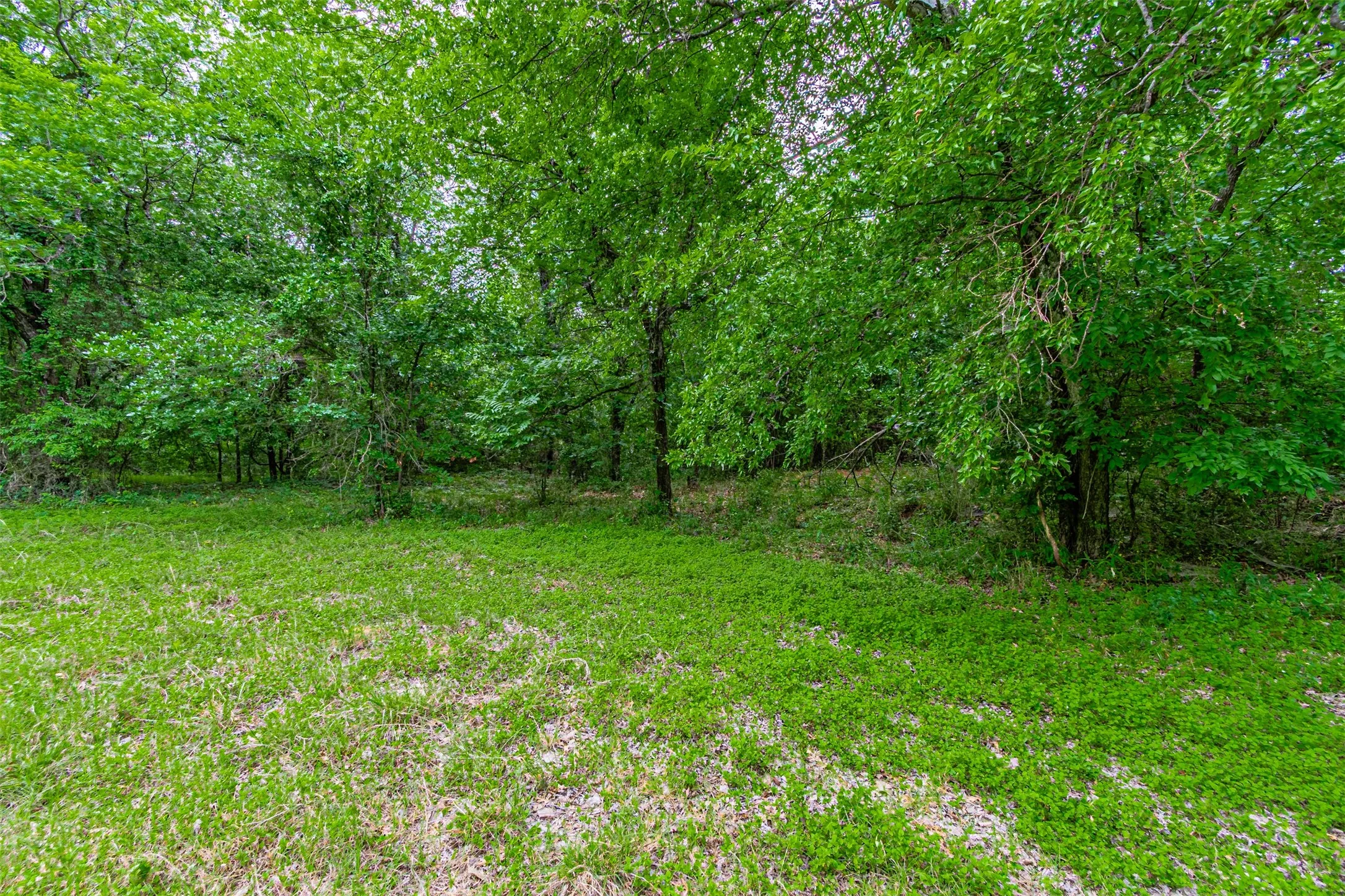 Farm For Sale in Hood County , TBD River View Court, Granbury, Texas 76048, 0, 0, Garage spaces, 0 Sqft, built in 1970, mls#21316657, Real Estate Agent in Granbury, Homes For Sale in Hood county, Homes For Sale in Granbury, Realtor in Granbury Texas, Real Estate Brokerage Independent Realty Texas, Luminita Cordes Realtor