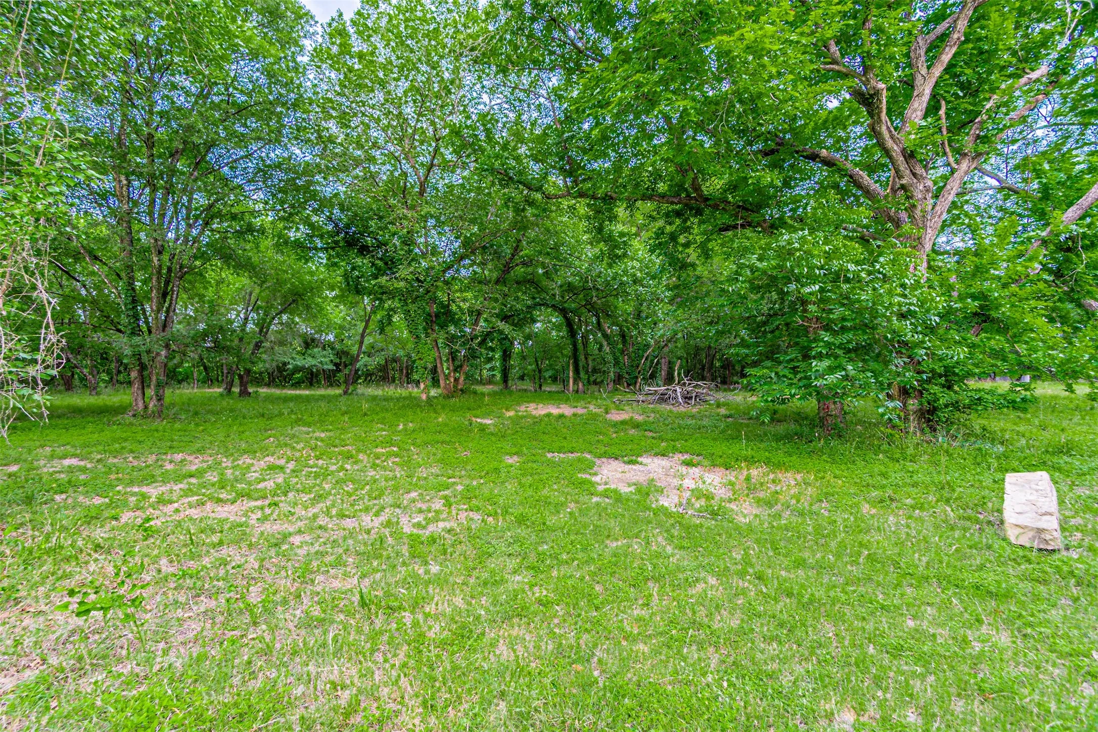 Expansive green space featuring mature trees and a natural setting