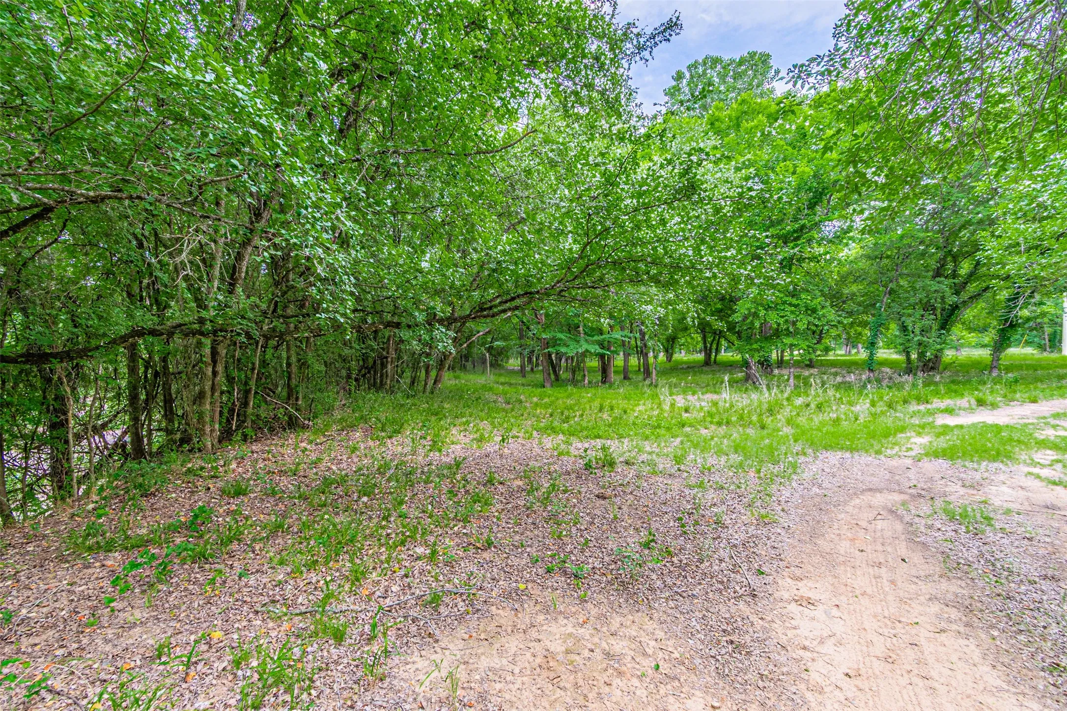 Farm For Sale in Hood County , TBD River View Court, Granbury, Texas 76048, 0, 0, Garage spaces, 0 Sqft, built in 1970, mls#21316657, Real Estate Agent in Granbury, Homes For Sale in Hood county, Homes For Sale in Granbury, Realtor in Granbury Texas, Real Estate Brokerage Independent Realty Texas, Luminita Cordes Realtor