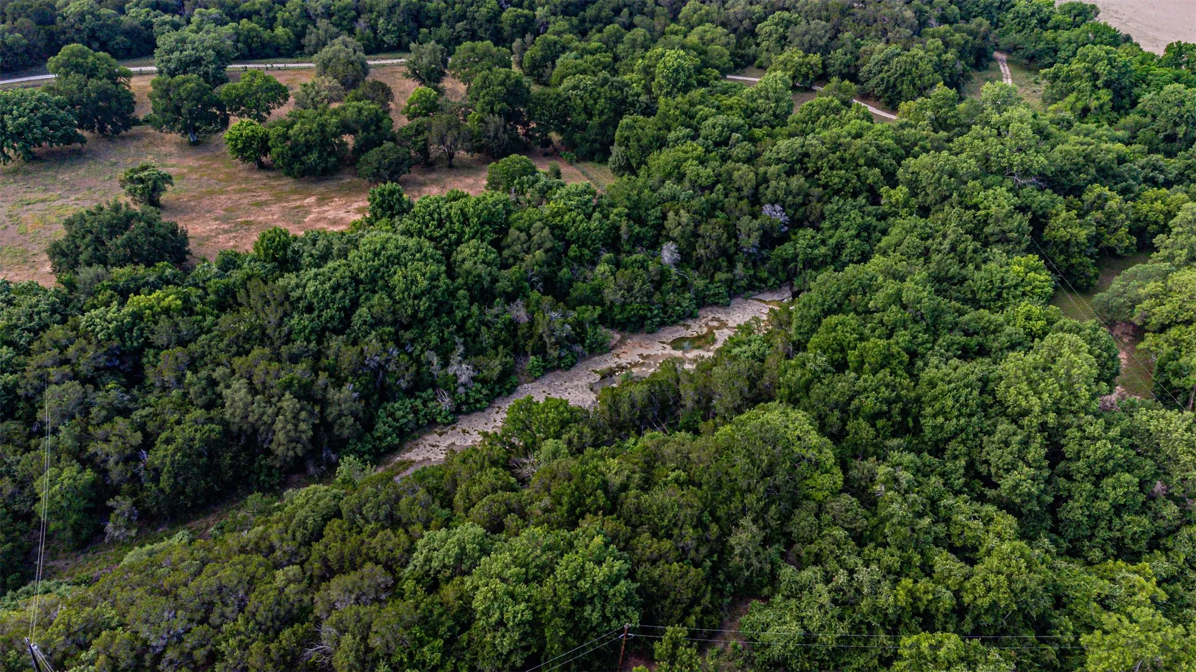 Expansive wooded property featuring mature trees and varied foliage