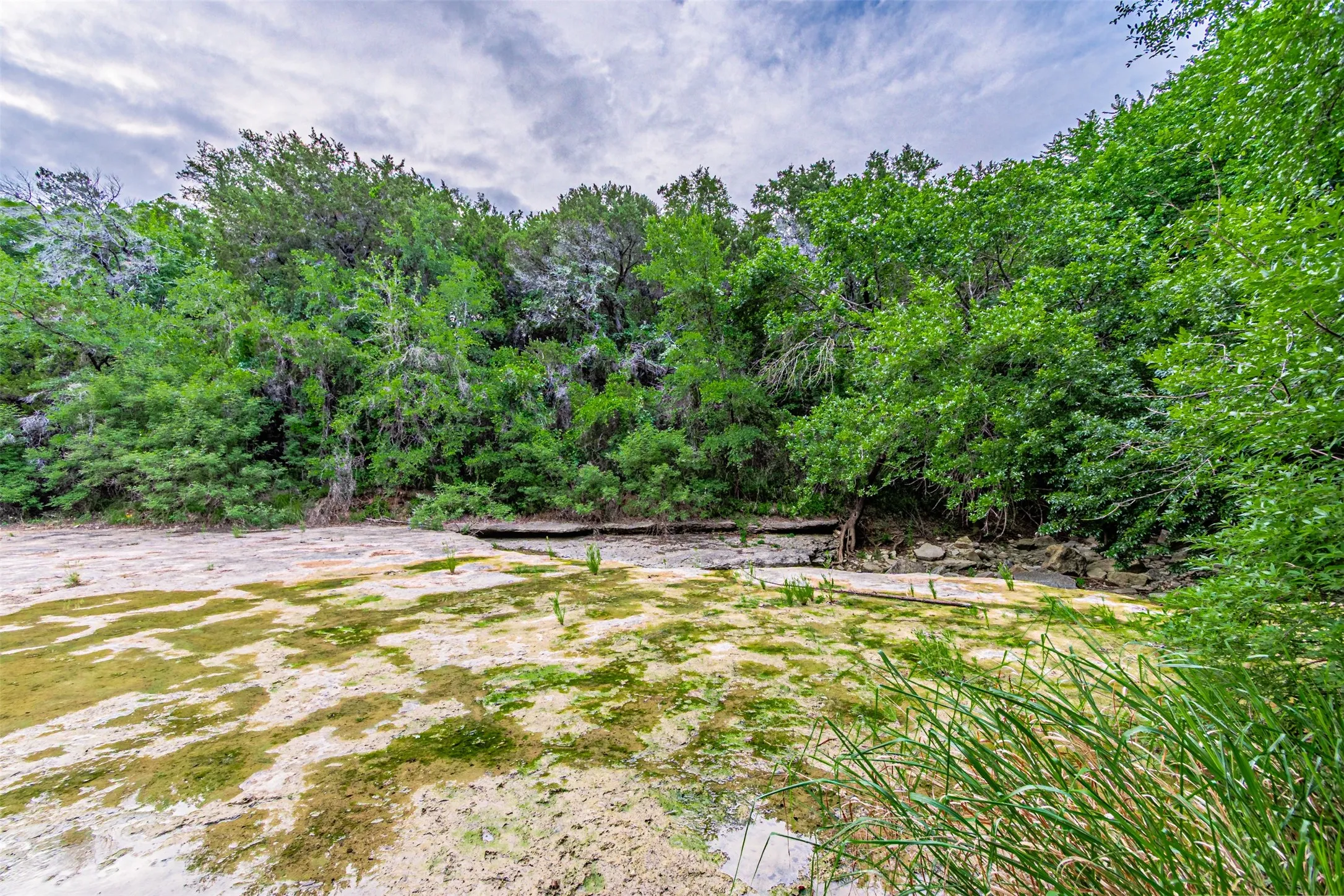 Natural rock formations with green foliage, surrounded by dense trees