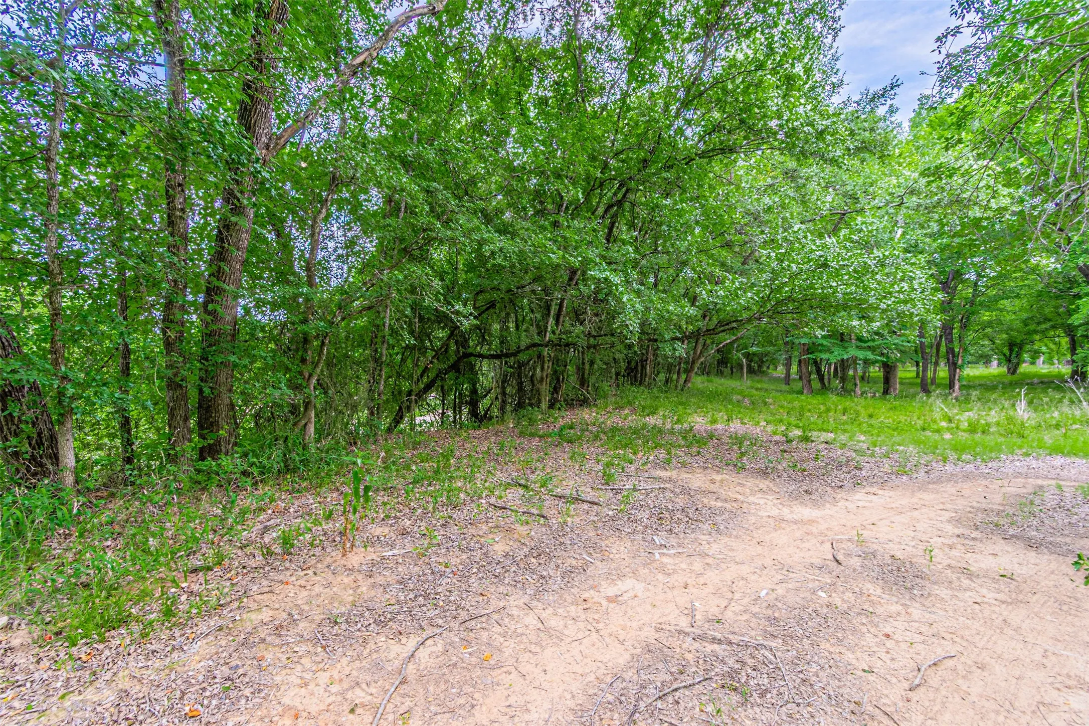Expansive natural lot featuring mature trees, verdant foliage, and a mix of cleared and wooded areas