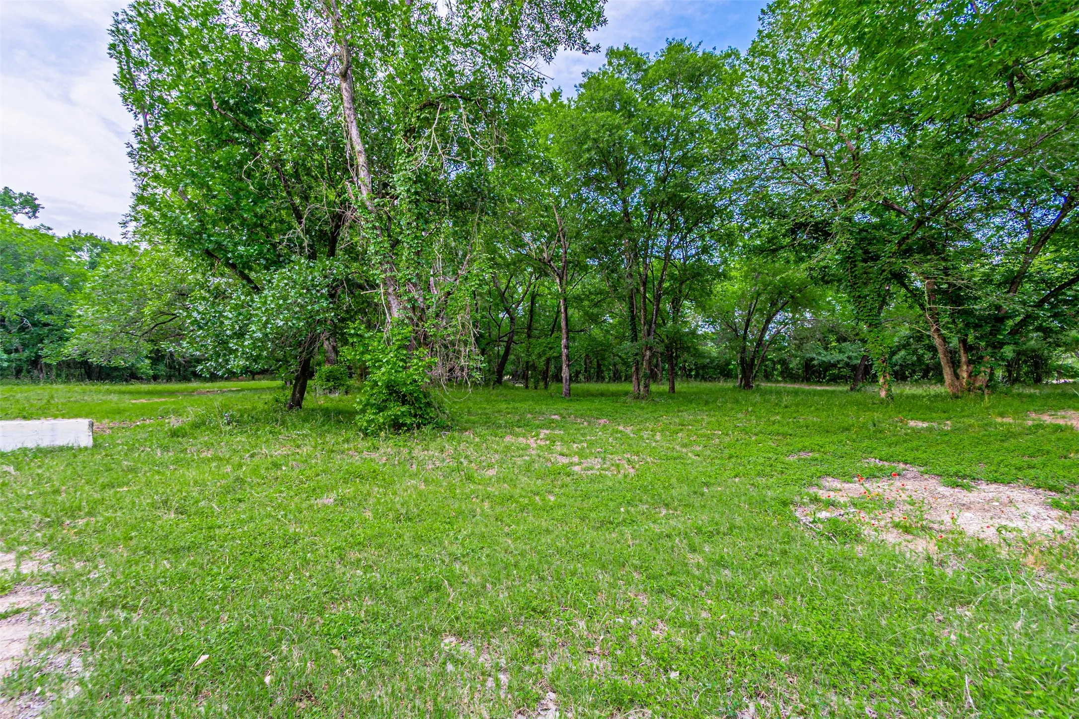 Expansive lot featuring mature trees and a substantial grassy area