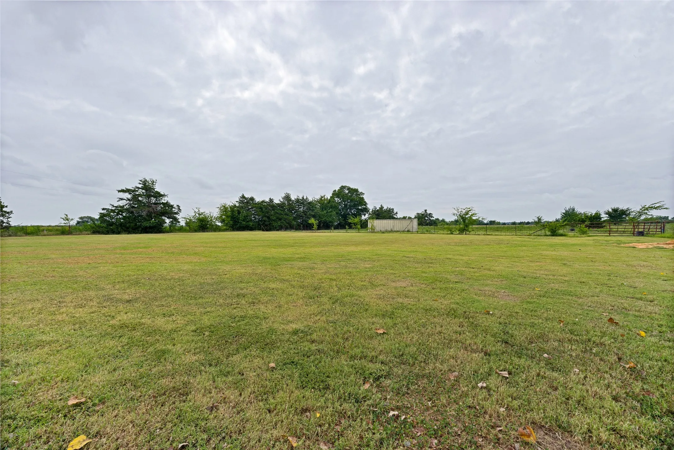 Expansive green lawn with distant trees