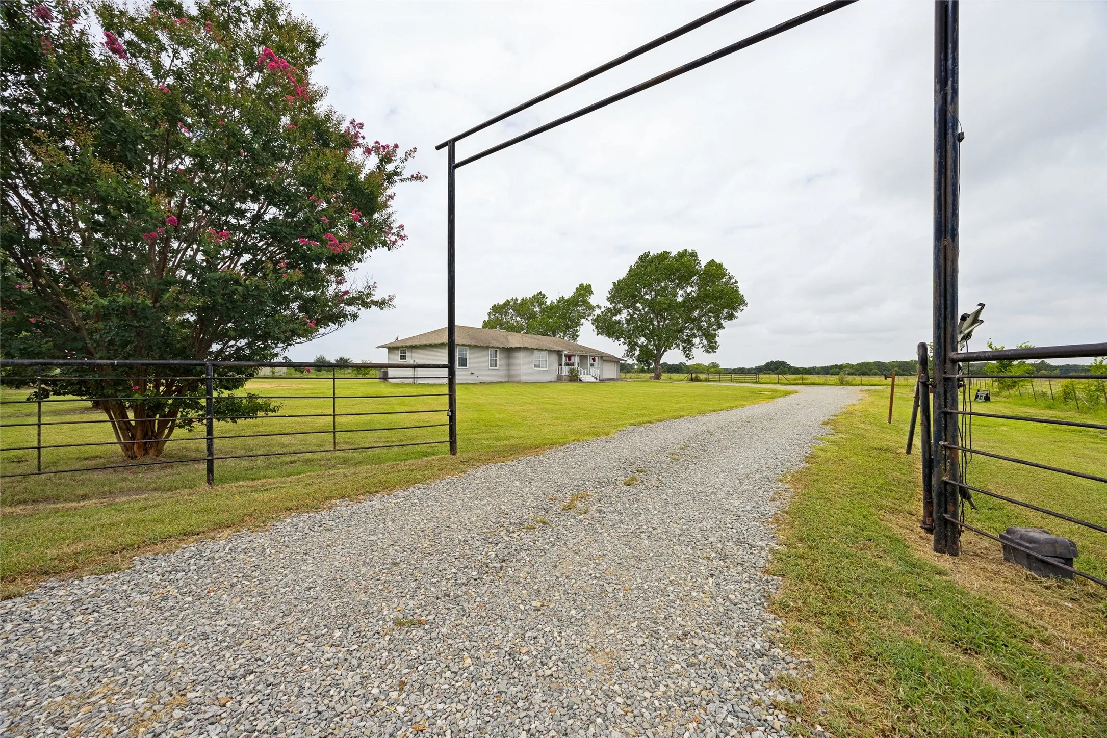 Gravel driveway entry with a metal gate and fencing, expansive grassy areas, and mature trees