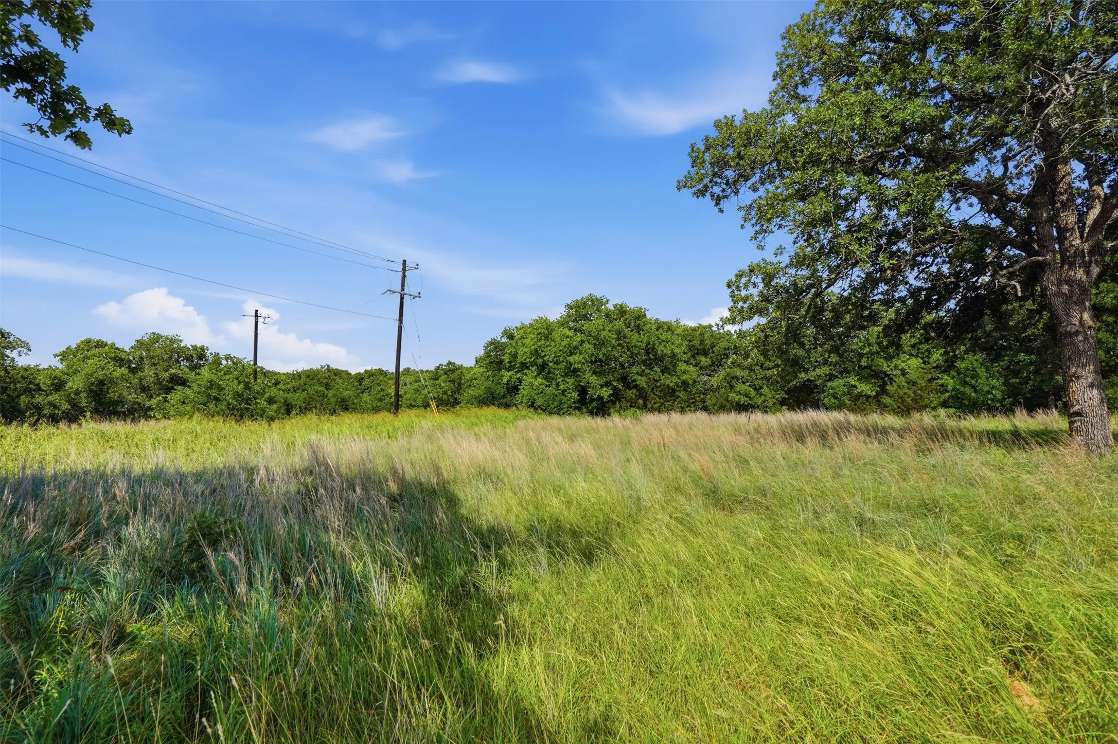 Unimproved Land For Sale in Jack County , Lot 63 Mustang Ridge, Perrin, Texas 76486, 0, 0, Garage spaces, 0 Sqft, built in 0, Price $79,000, mls#21316569, Real Estate Agent in Perrin, Homes For Sale in Jack county, Homes For Sale in Perrin, Realtor in Perrin Texas, Real Estate Brokerage Independent Realty Texas, Luminita Cordes Realtor