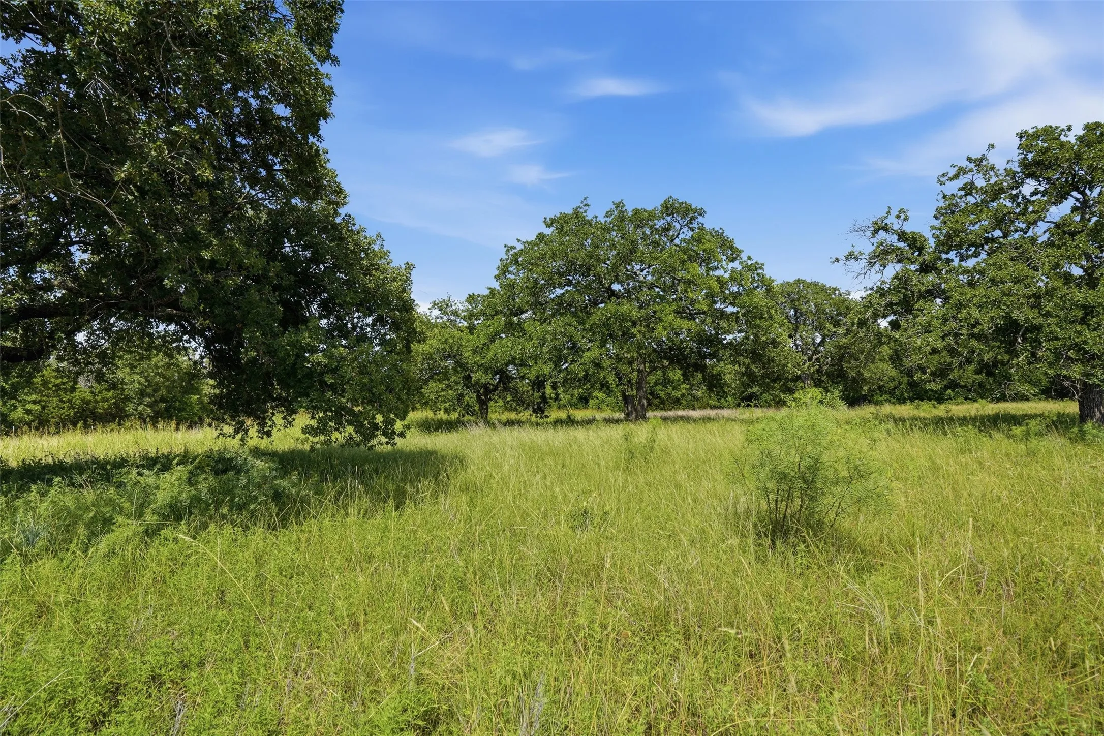 Unimproved Land For Sale in Jack County , Lot 63 Mustang Ridge, Perrin, Texas 76486, 0, 0, Garage spaces, 0 Sqft, built in 0, Price $79,000, mls#21316569, Real Estate Agent in Perrin, Homes For Sale in Jack county, Homes For Sale in Perrin, Realtor in Perrin Texas, Real Estate Brokerage Independent Realty Texas, Luminita Cordes Realtor