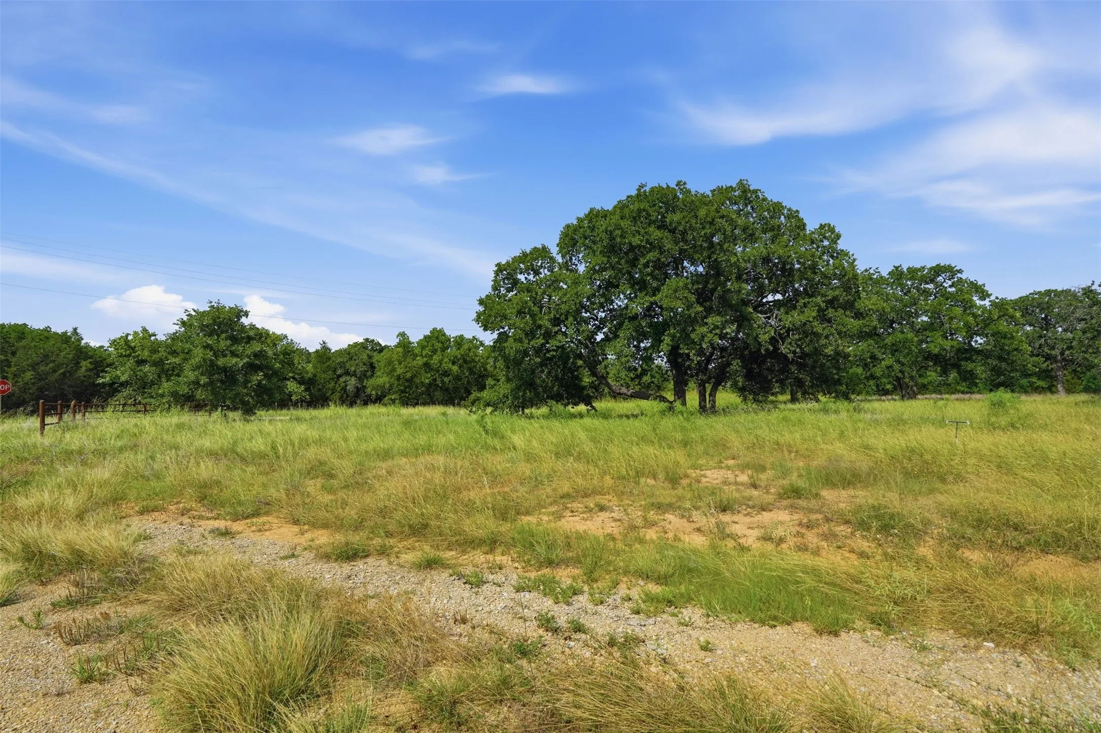 Unimproved Land For Sale in Jack County , Lot 63 Mustang Ridge, Perrin, Texas 76486, 0, 0, Garage spaces, 0 Sqft, built in 0, Price $79,000, mls#21316569, Real Estate Agent in Perrin, Homes For Sale in Jack county, Homes For Sale in Perrin, Realtor in Perrin Texas, Real Estate Brokerage Independent Realty Texas, Luminita Cordes Realtor