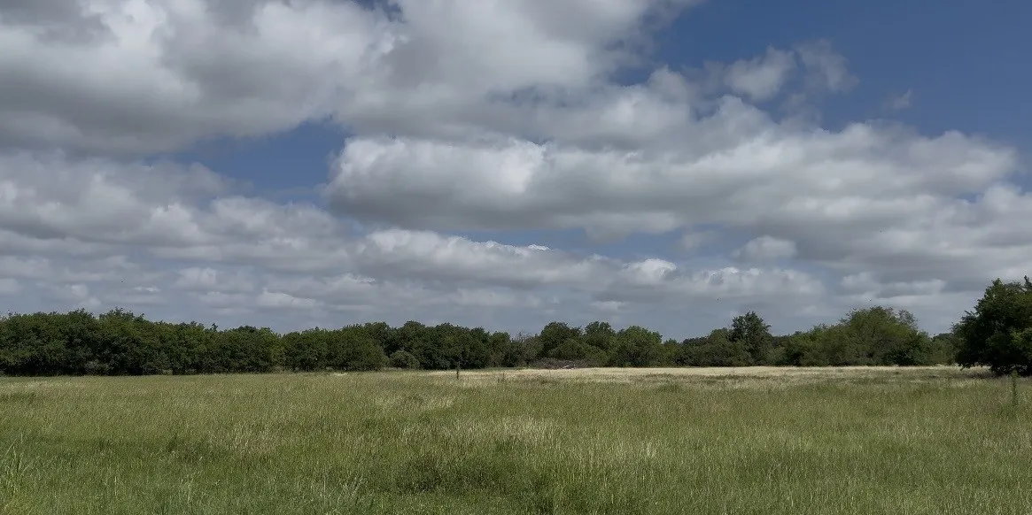 Expansive open field with natural grass and a perimeter of mature deciduous trees