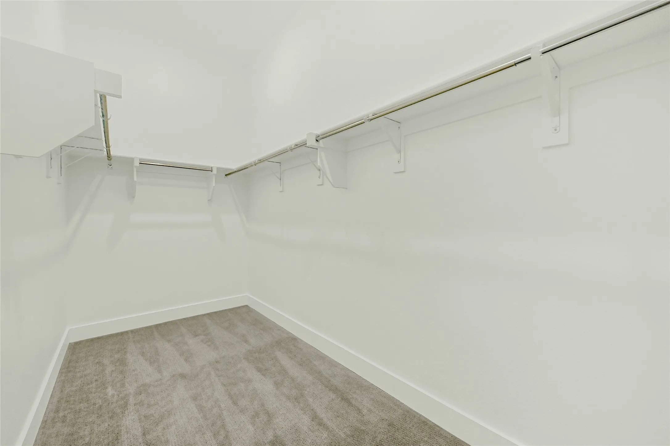 Walk in closet with light colored carpet